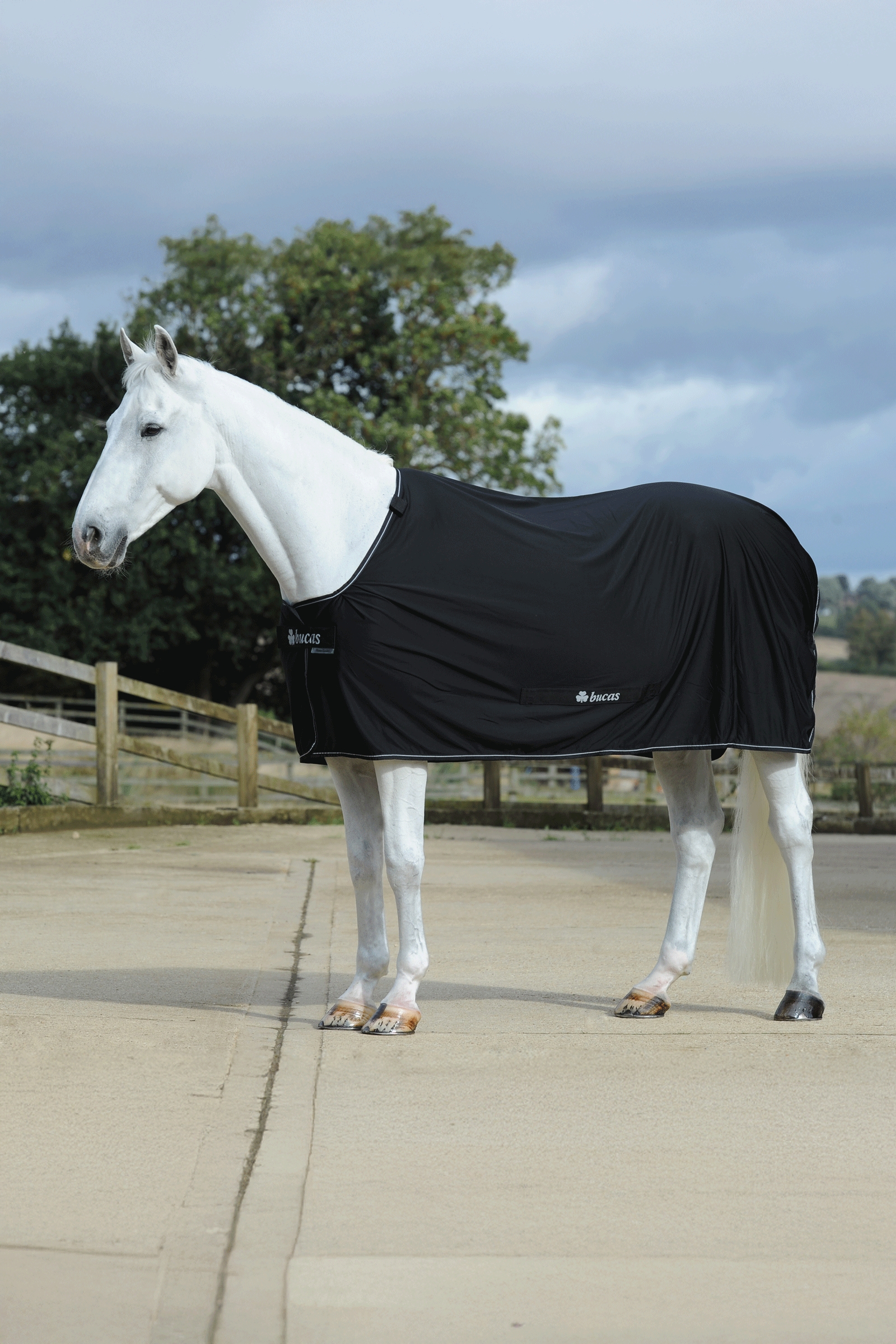 Bucas Power manta secante