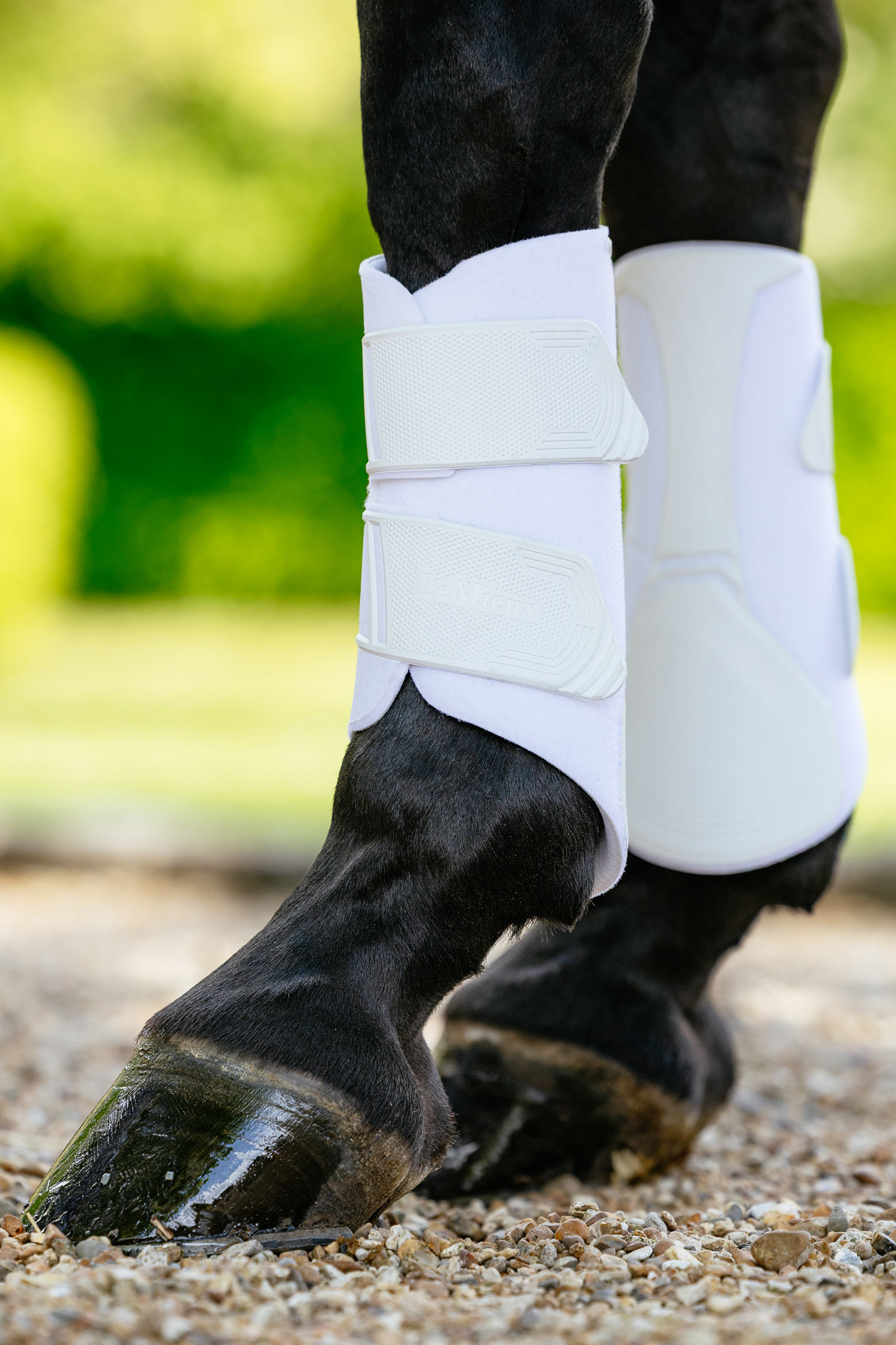 LeMieux Technical protectores doma