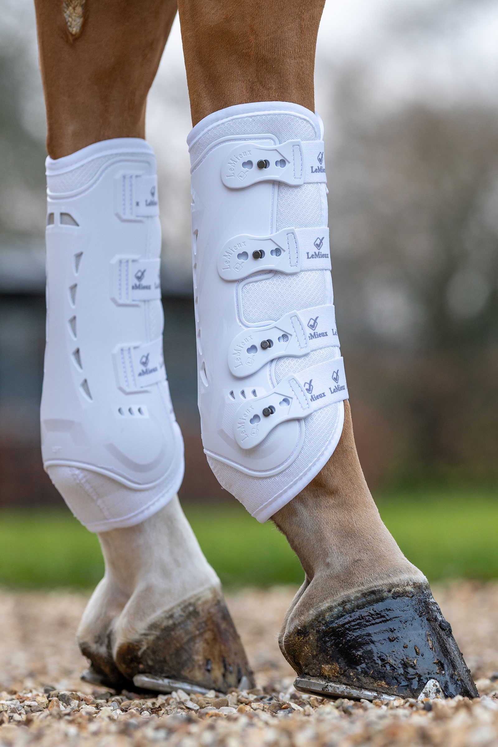 LeMieux Ultra Mesh Snug protectores traseros