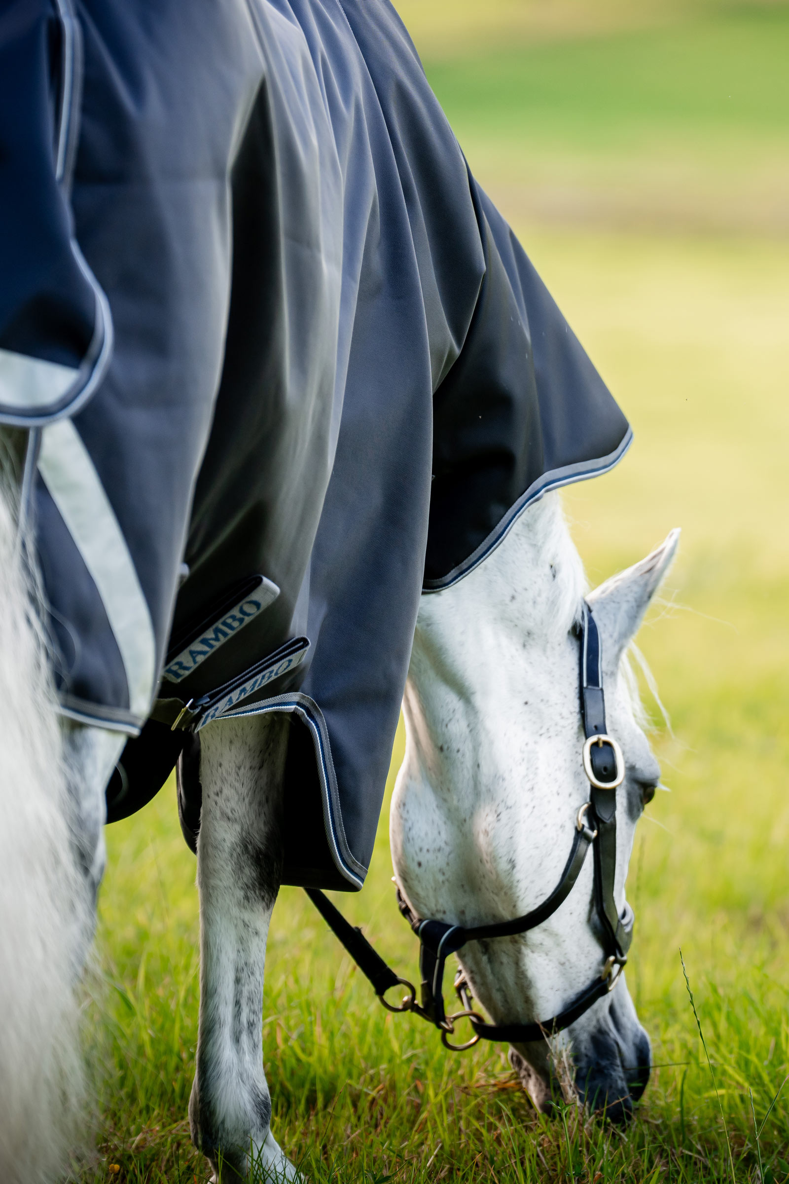 Horseware Rambo 1680D Plus Vario Layer manta de exterior, 250 g