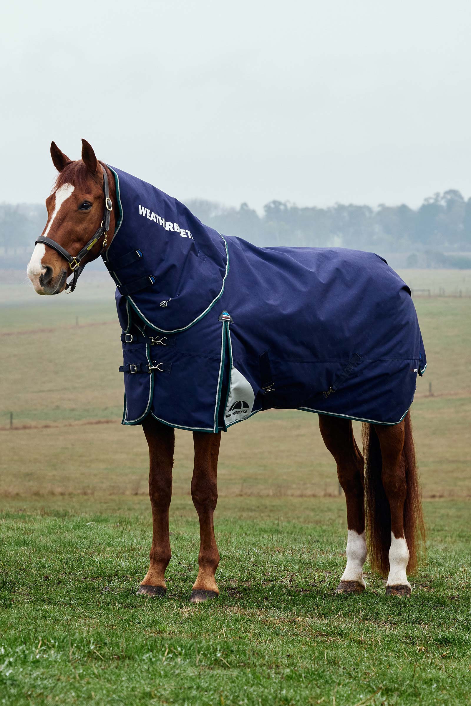 Weatherbeeta ComFiTecPlus Dynamic Turnout Detach-A-Neck 220G