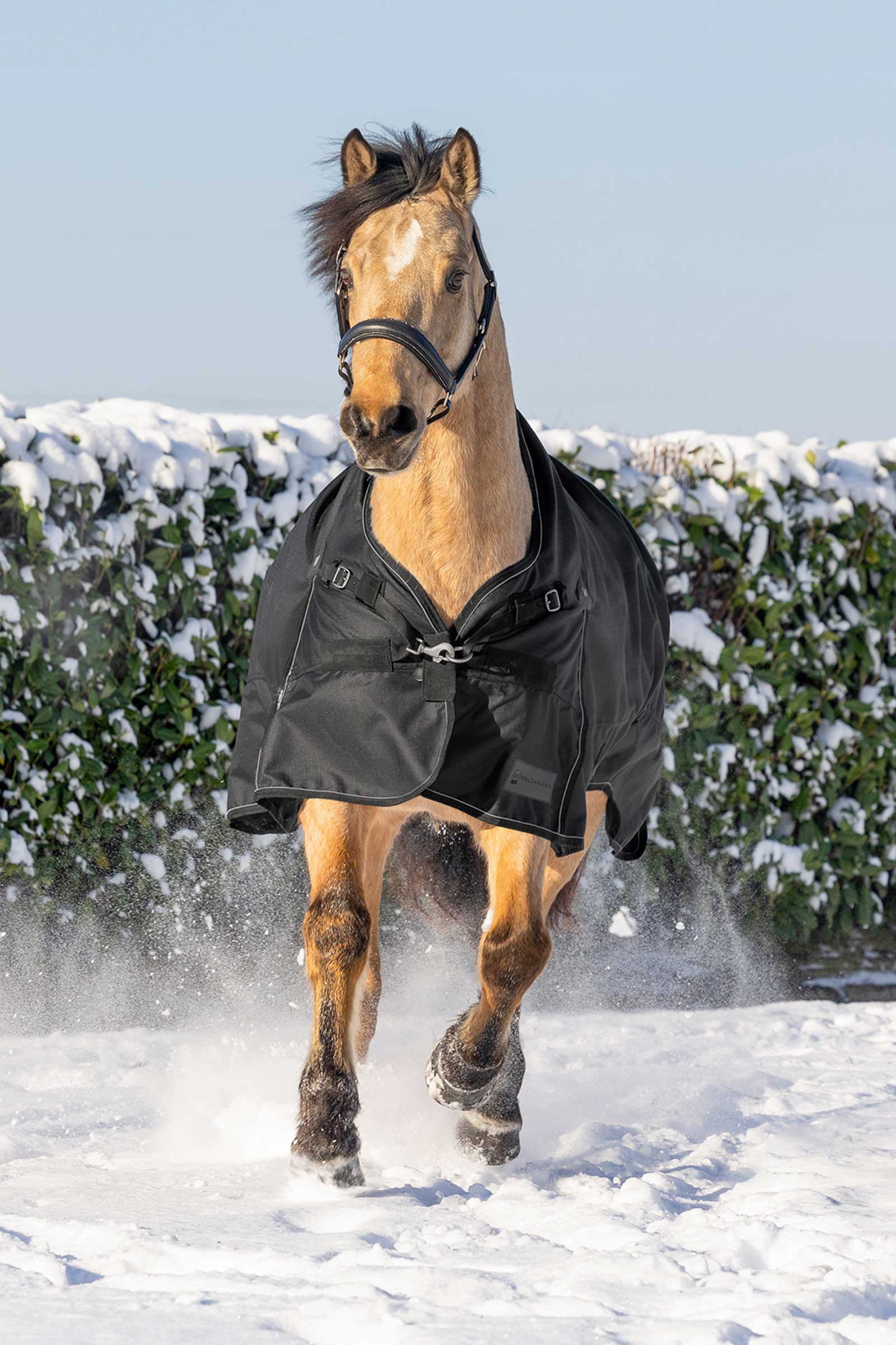 Waldhausen Scandic Manta de Exterior con cuello alto, 200 g