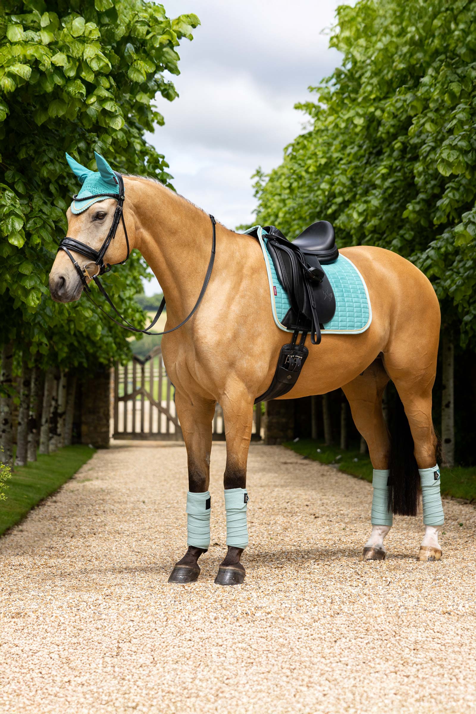 LeMieux Suede Square Mantilla de Doma