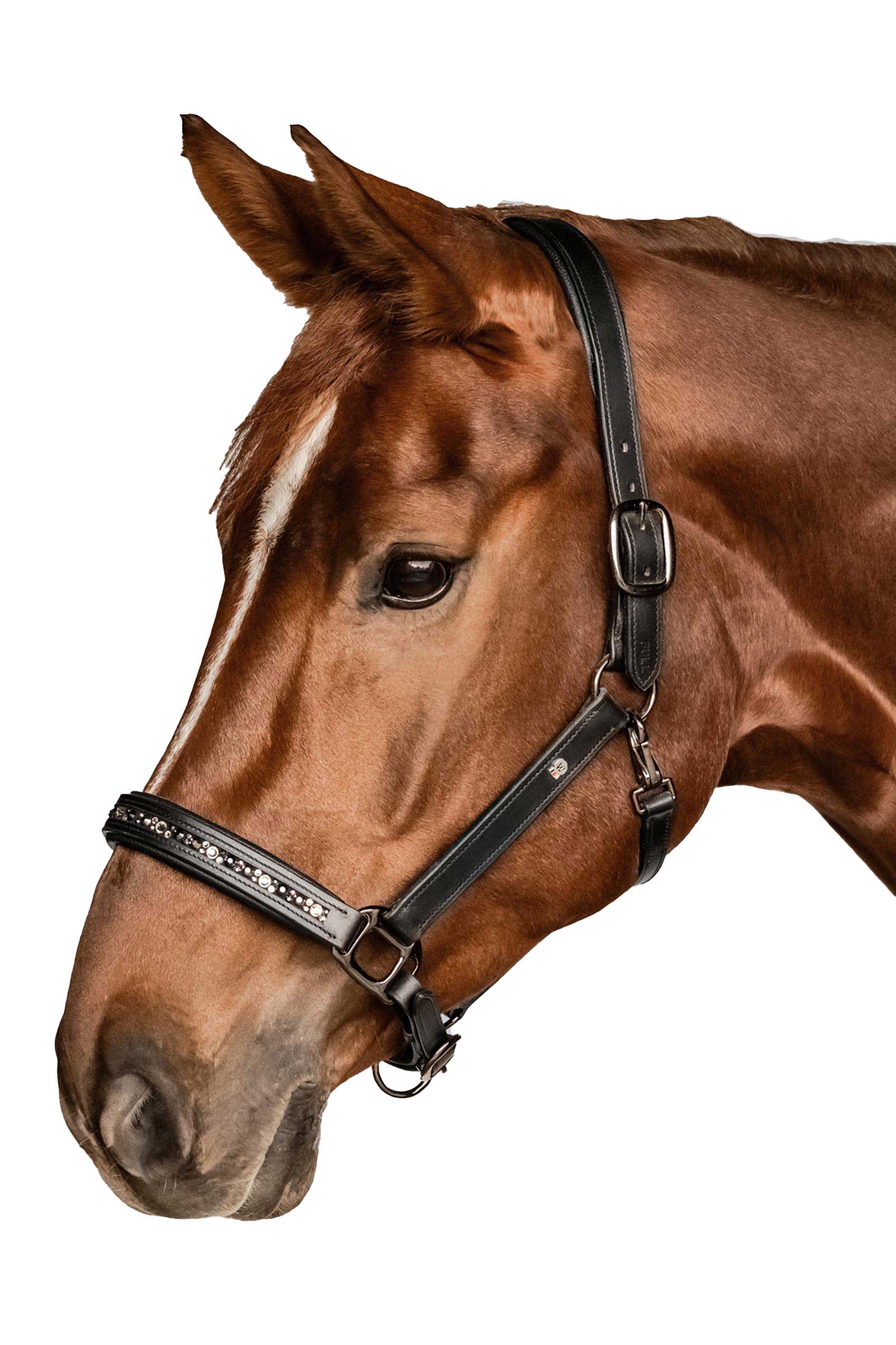 Waldhausen X-Line Crystal Cabezada de cuero