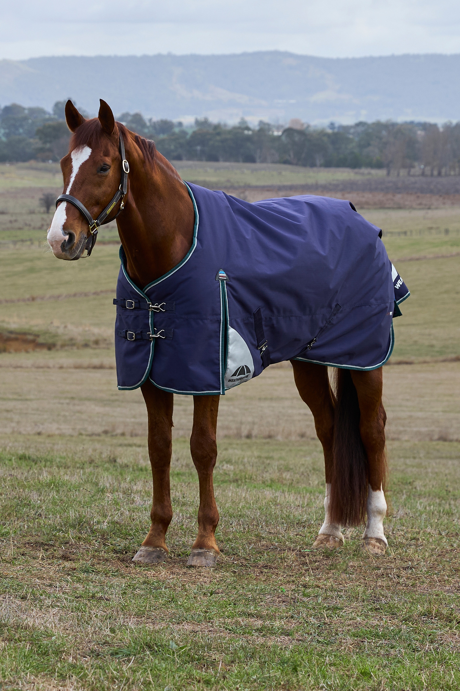 Navy/Forest Green Weatherbeeta ComFiTecPlus Dynamic Manta exterior con cuello desmontable, 100 g  