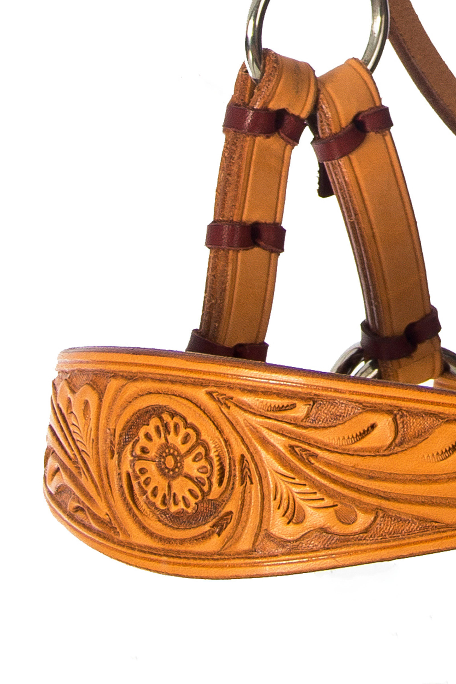 F.R.A. Freedom Riding Articles Diego Cabezada Bitless