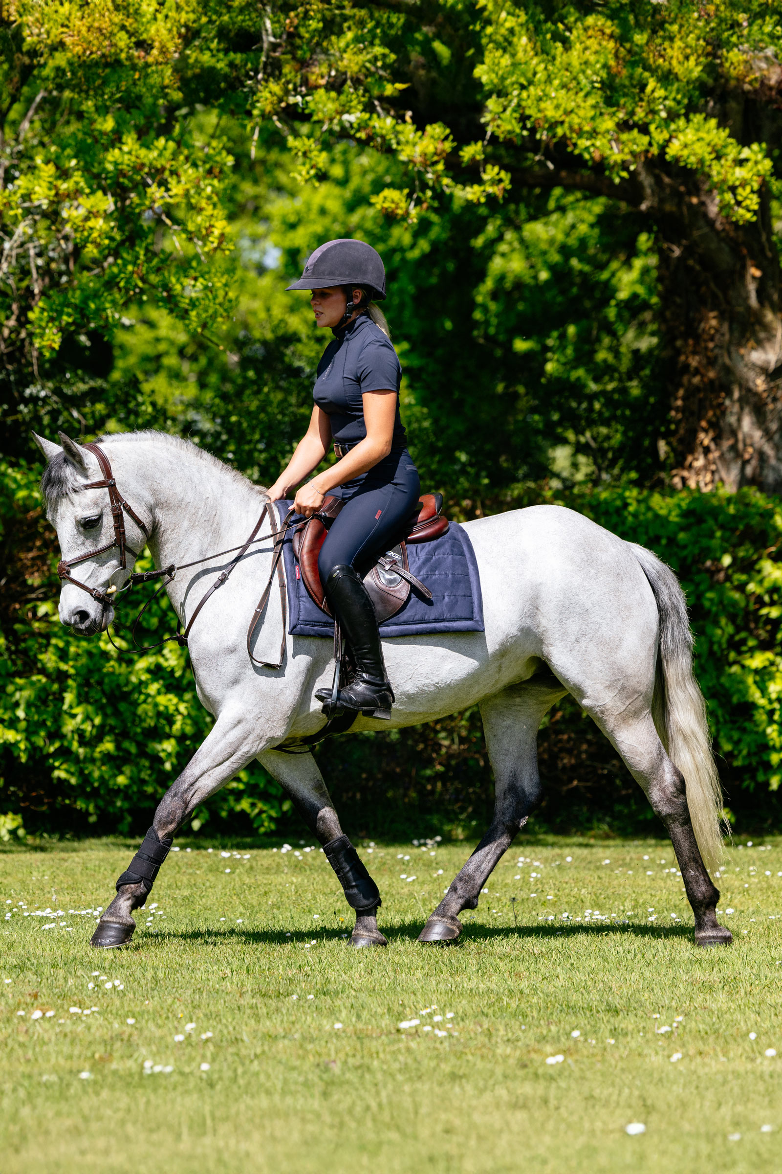 LeMieux Pillow mantilla uso general acolchada