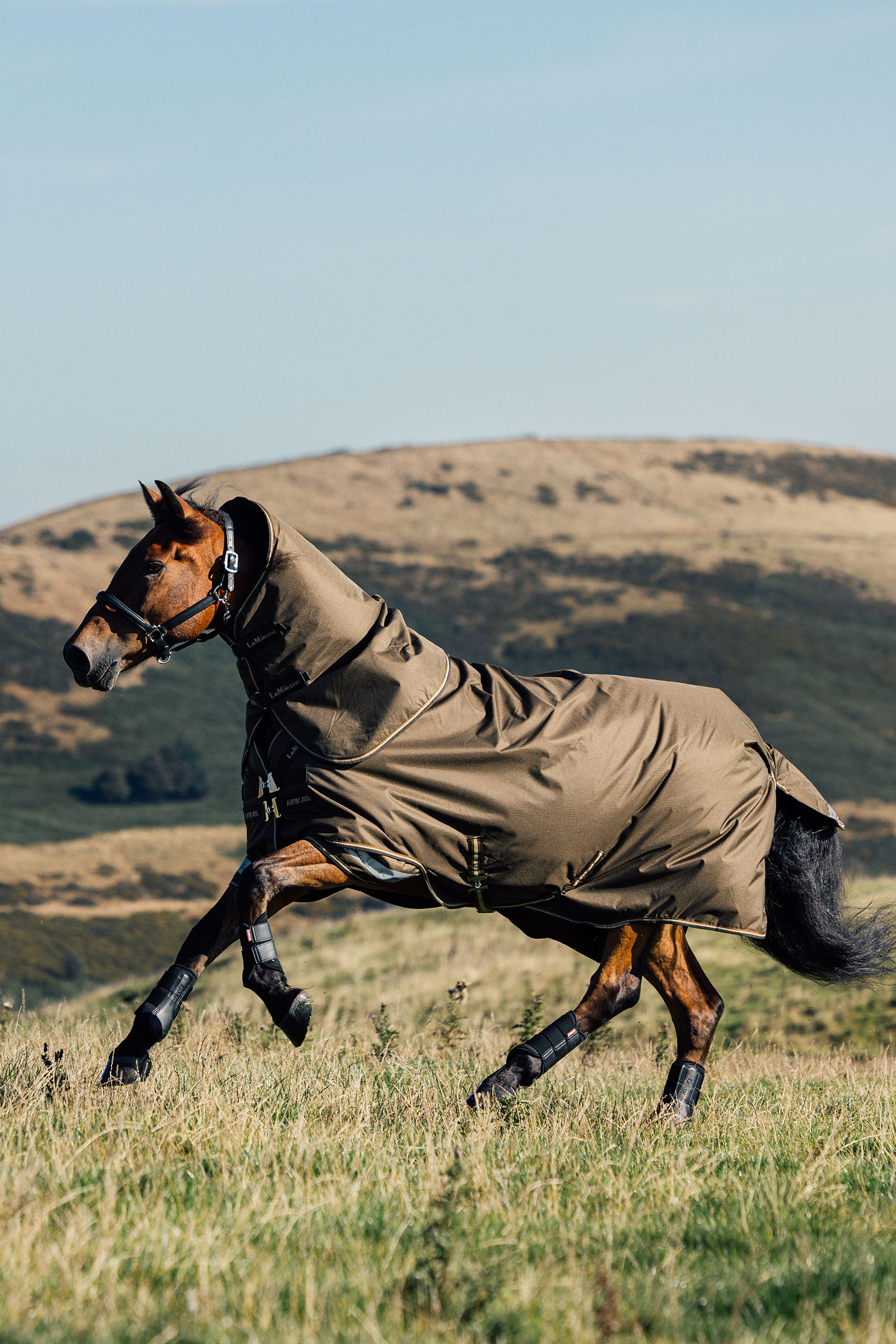 LeMieux Arika Ripstop Turnout Rug With Detachable Neck, 100 g