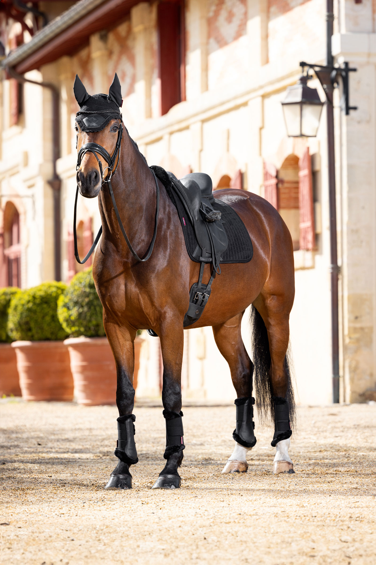 LeMieux Merino+ Mantilla de Adiestramiento efecto ante, medio forrado