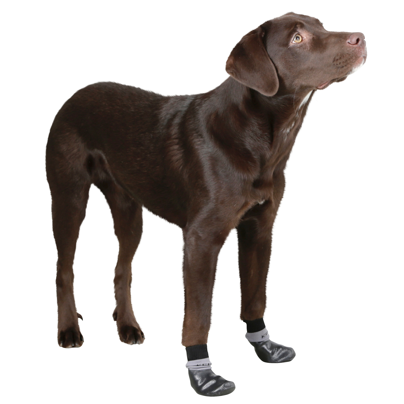 Calcetines Kerbl para perros Susi con revestimiento de nitrilo, talla L-XL