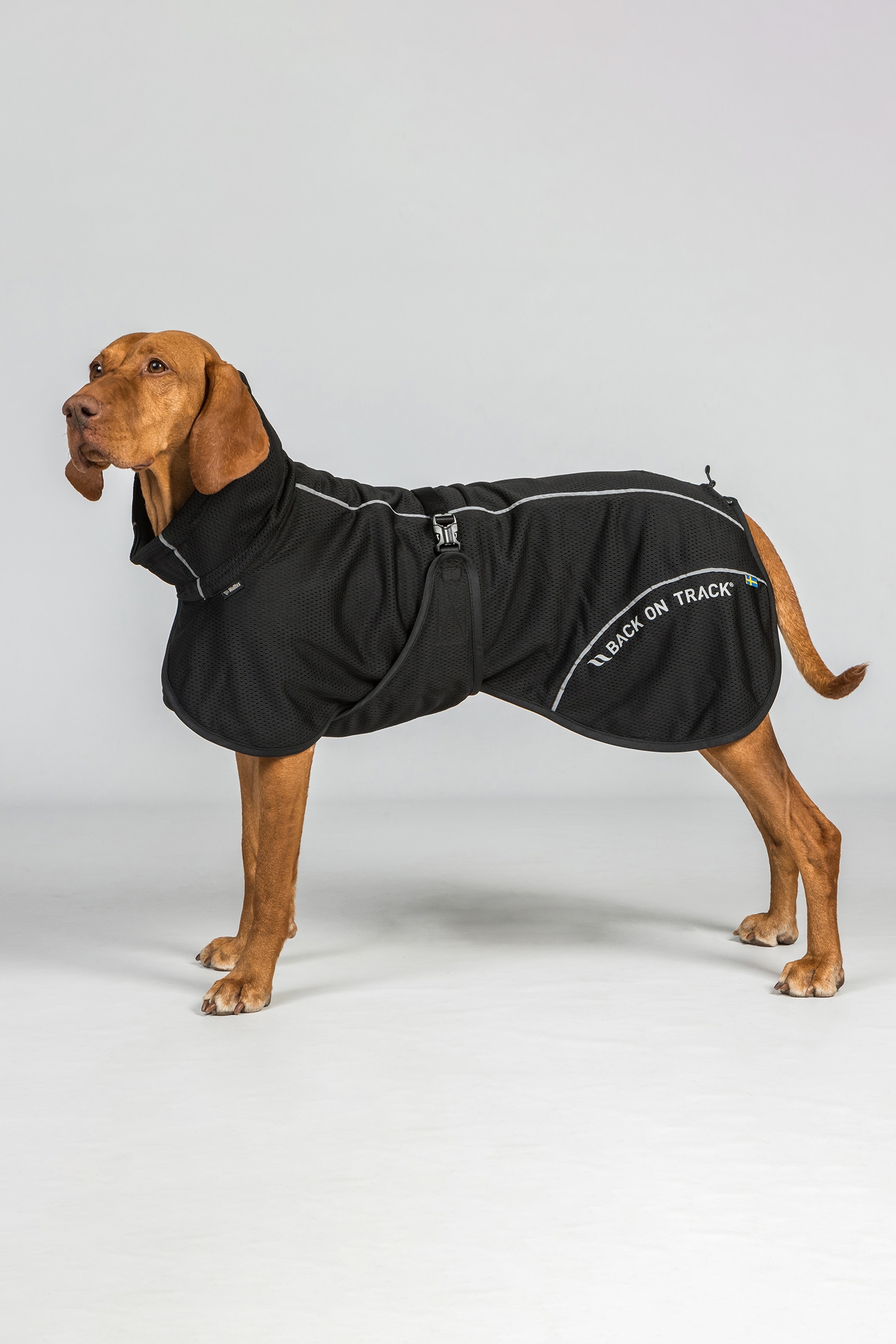 Back on Track Bay Mesh Dog Coat, High Set Tail