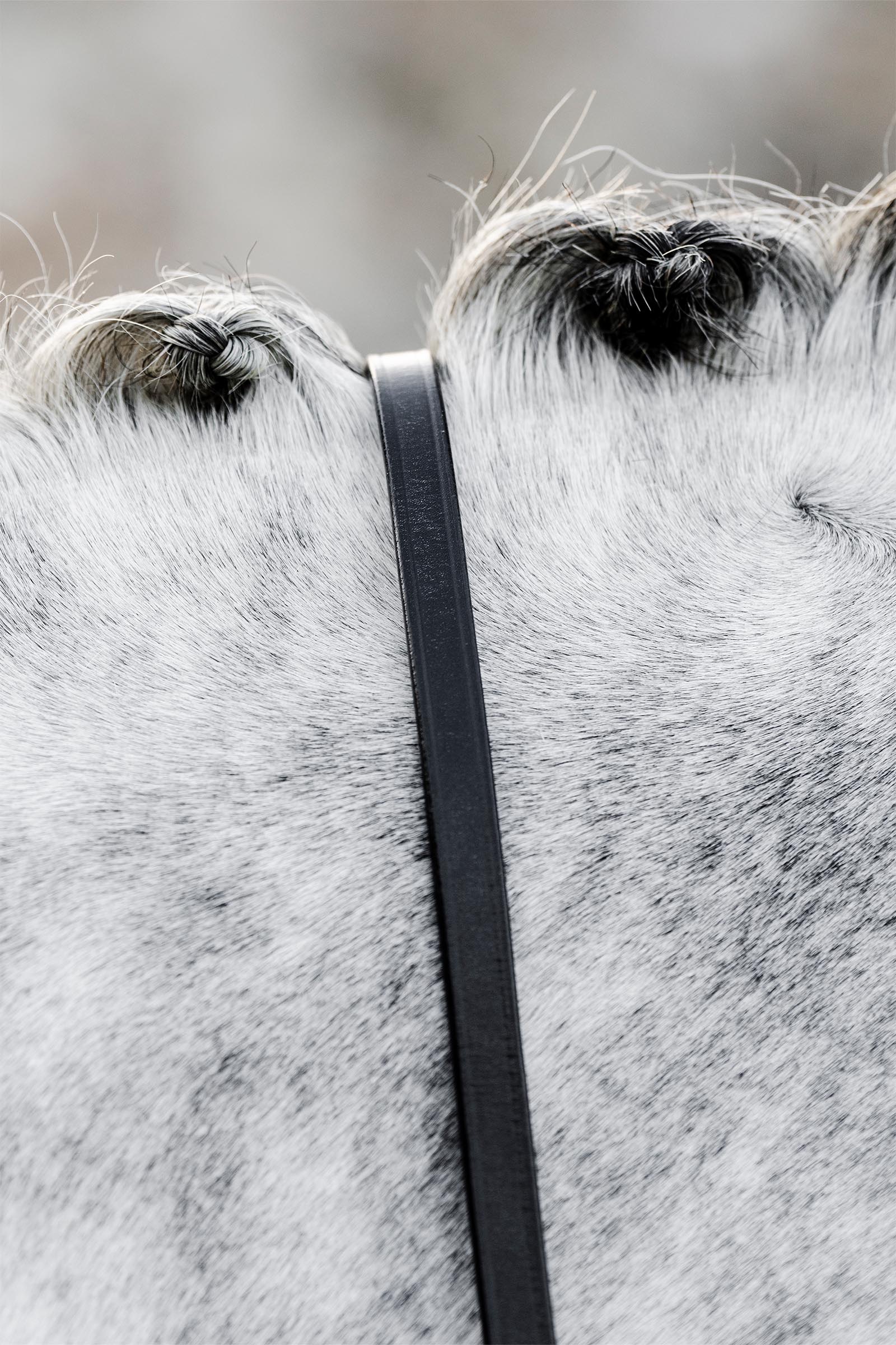 Horseware riendas de filete