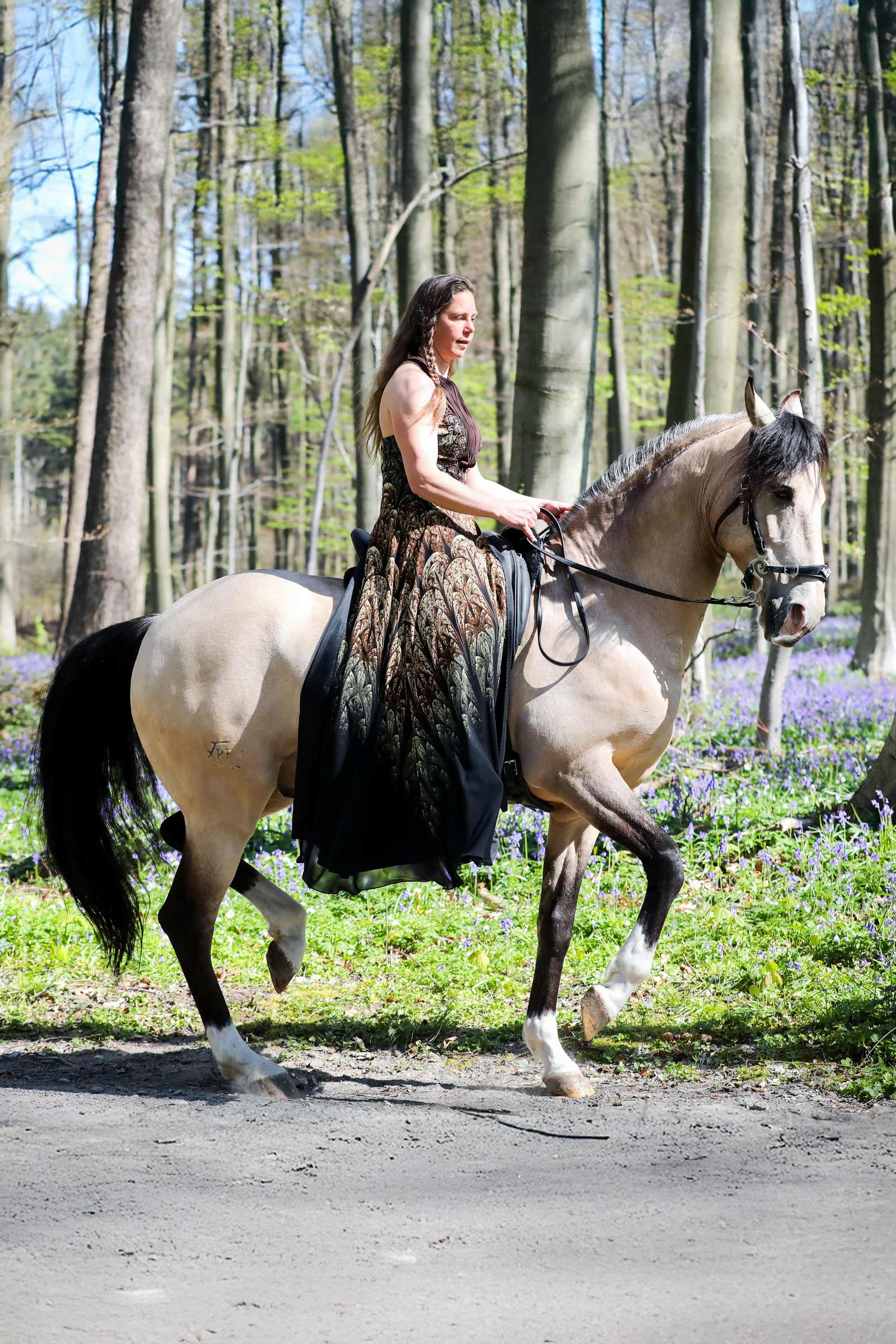 F.R.A. Freedom Riding Articles Imperial cabezada Hackamore con riendas (sistema 2)