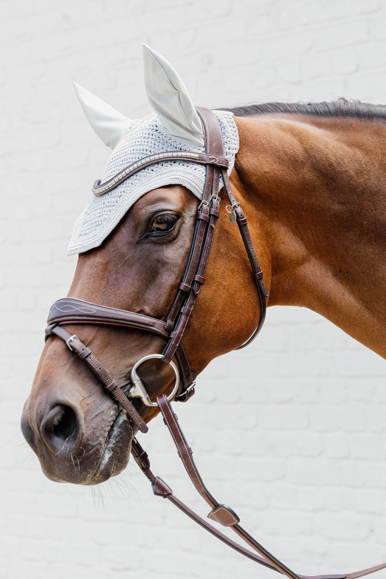 Kentucky Horsewear orejeras Wellington Diamond Rope Soundless