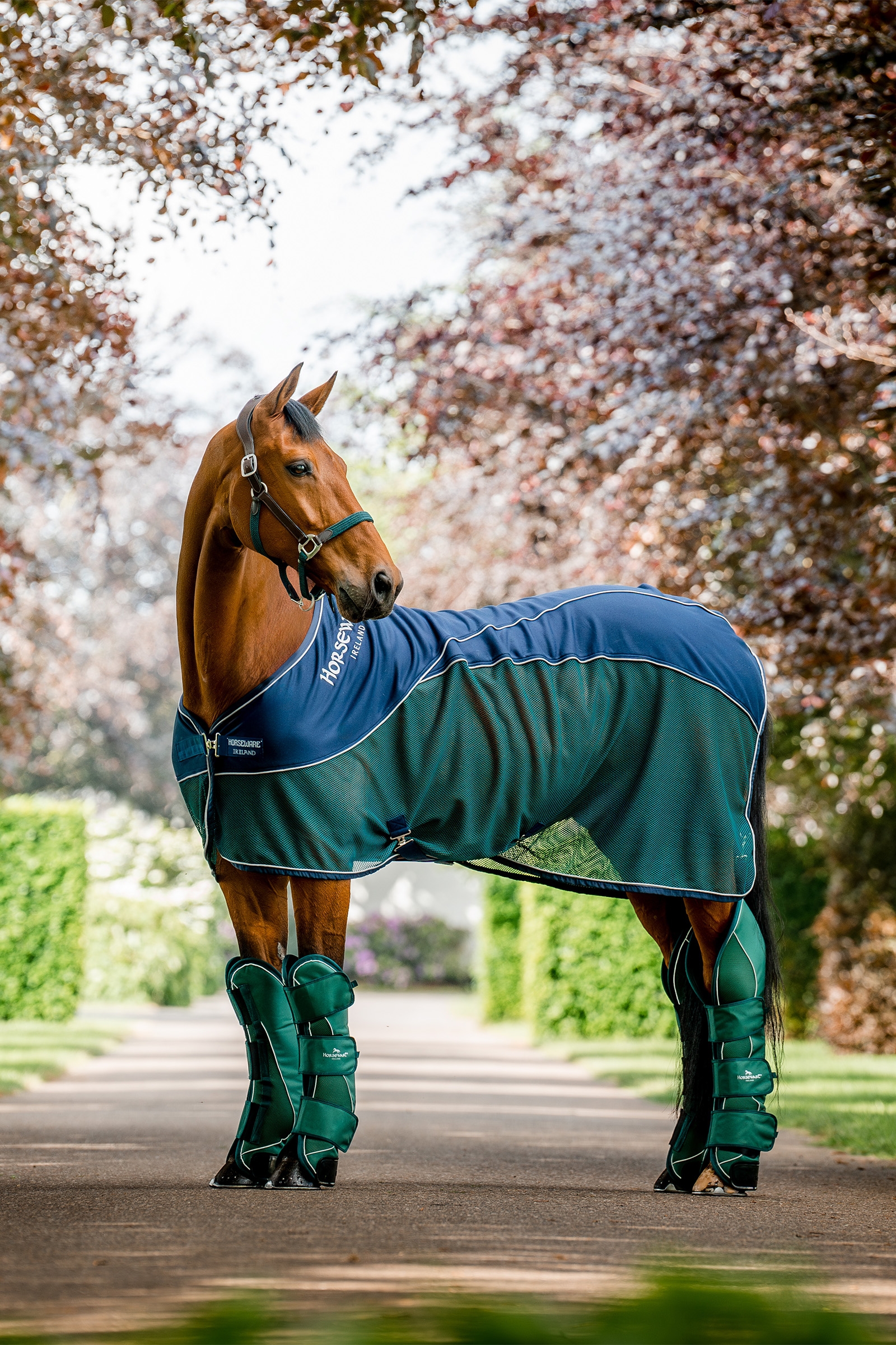 Horseware Signature Campanas de Transporte