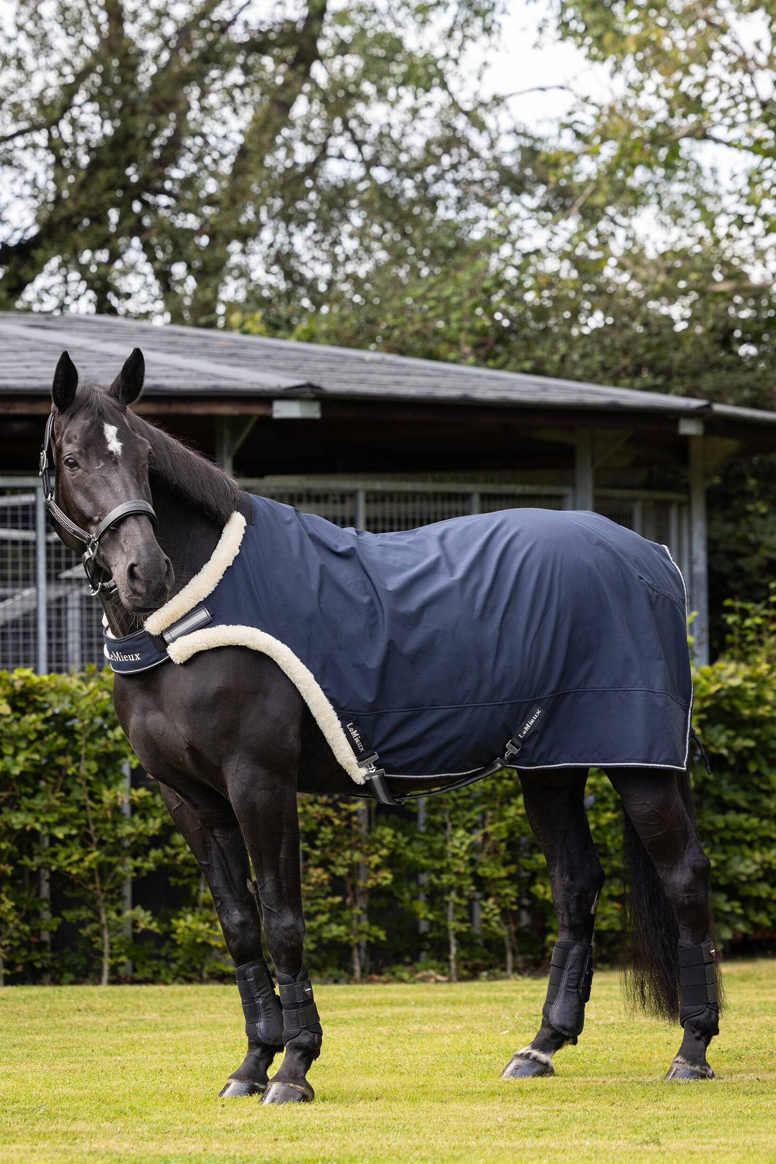 Manta de guía LeMieux