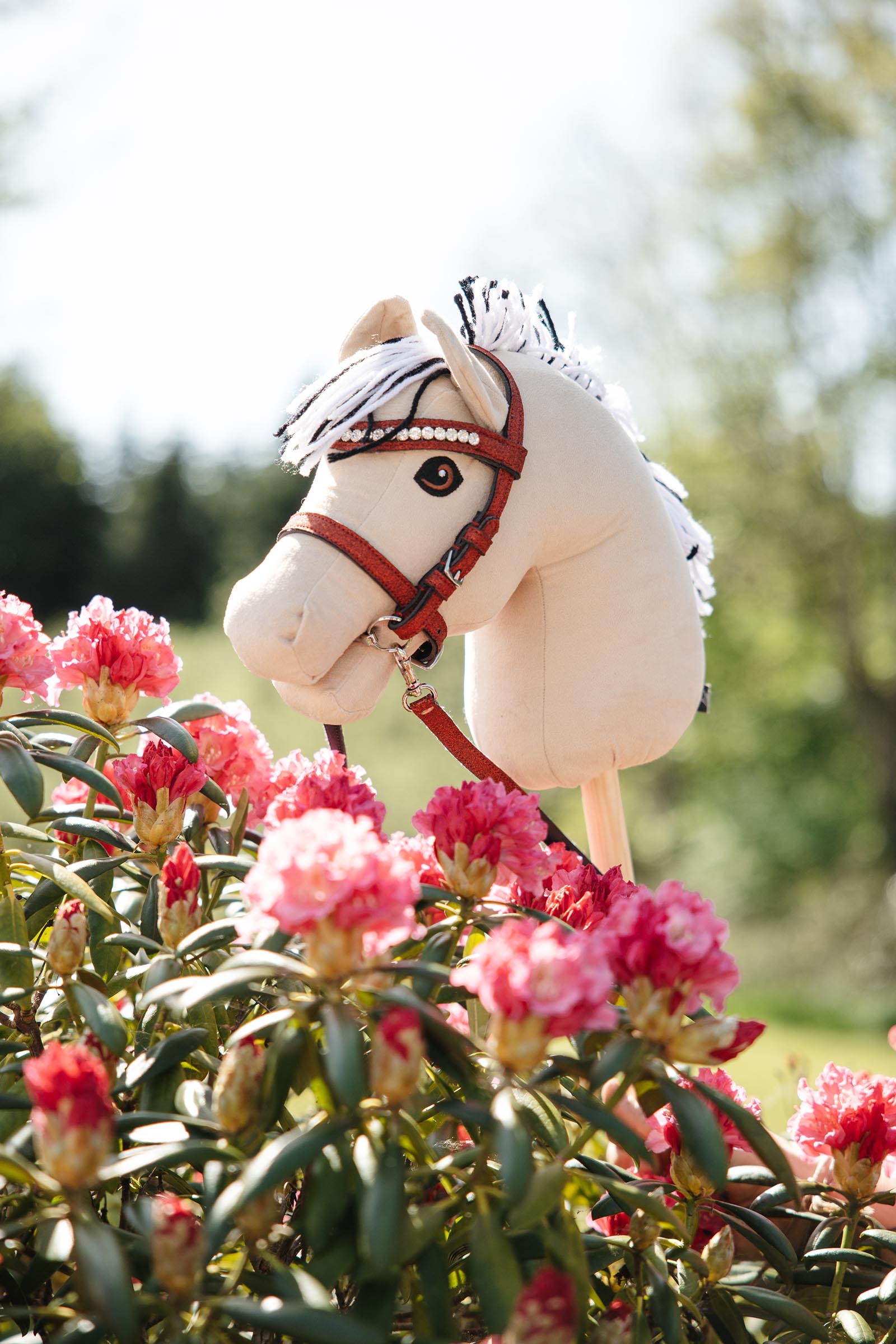 My Hobby Horse brida con brillo