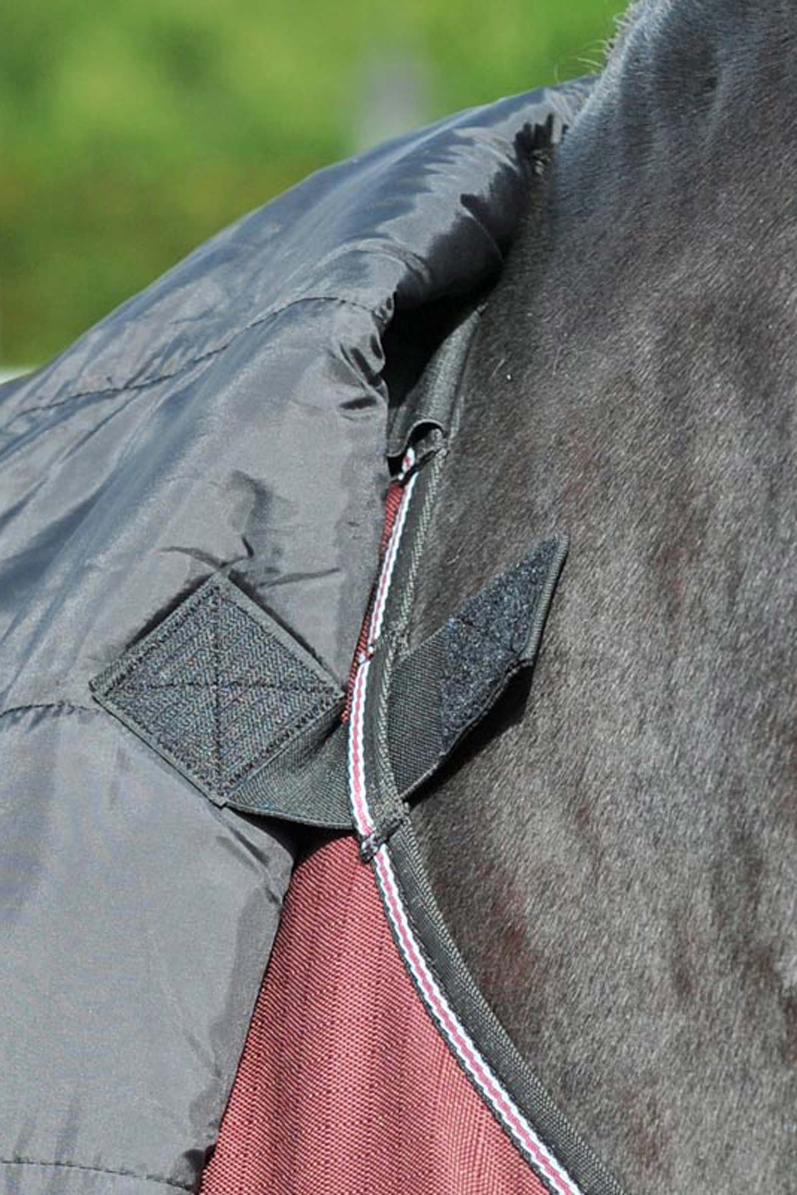 Cuello Kavalkade para Alaska IV, 100 g