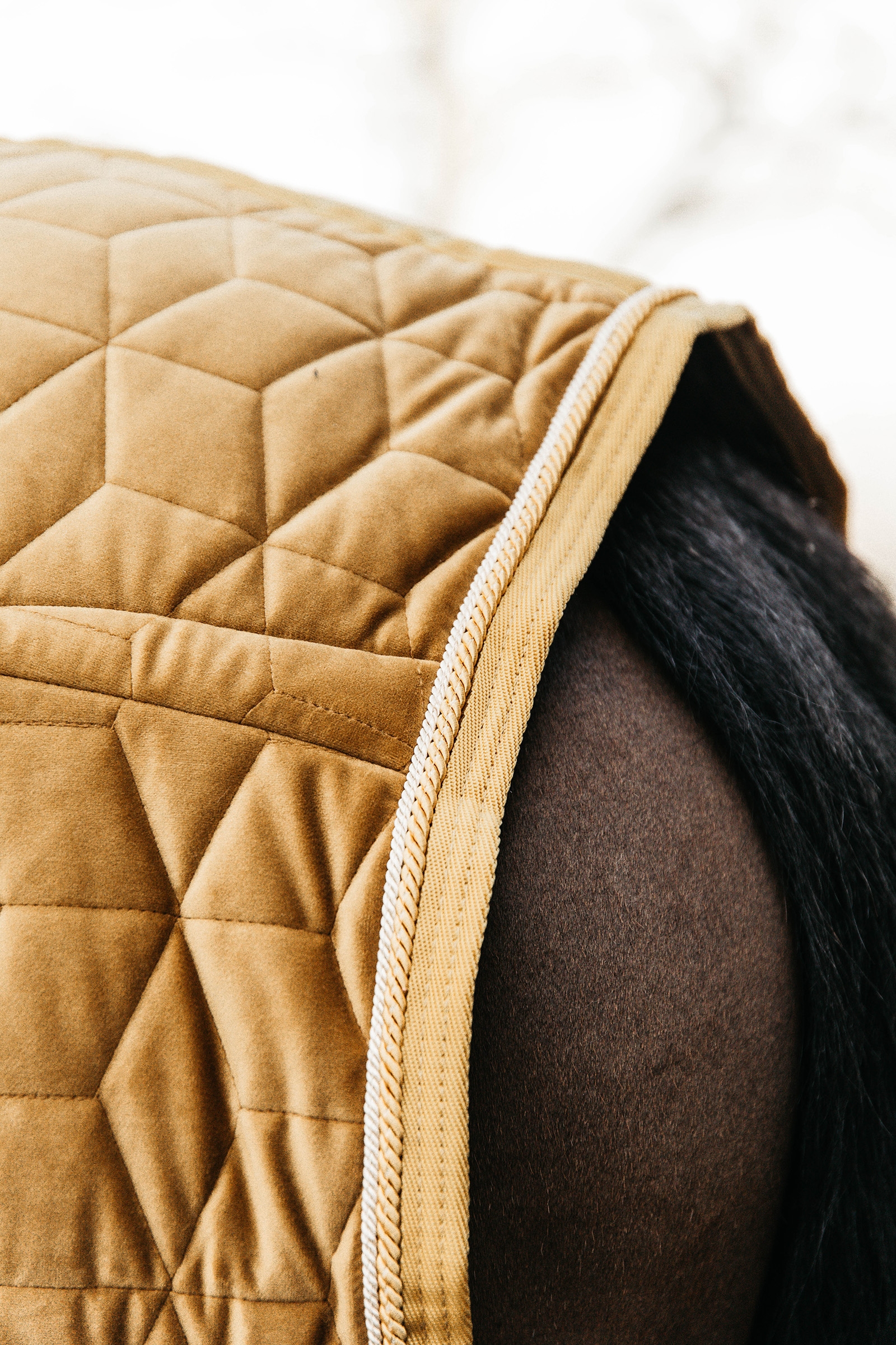 Manta de Concurso de Terciopelo para Poni Kentucky Horsewear, 160g