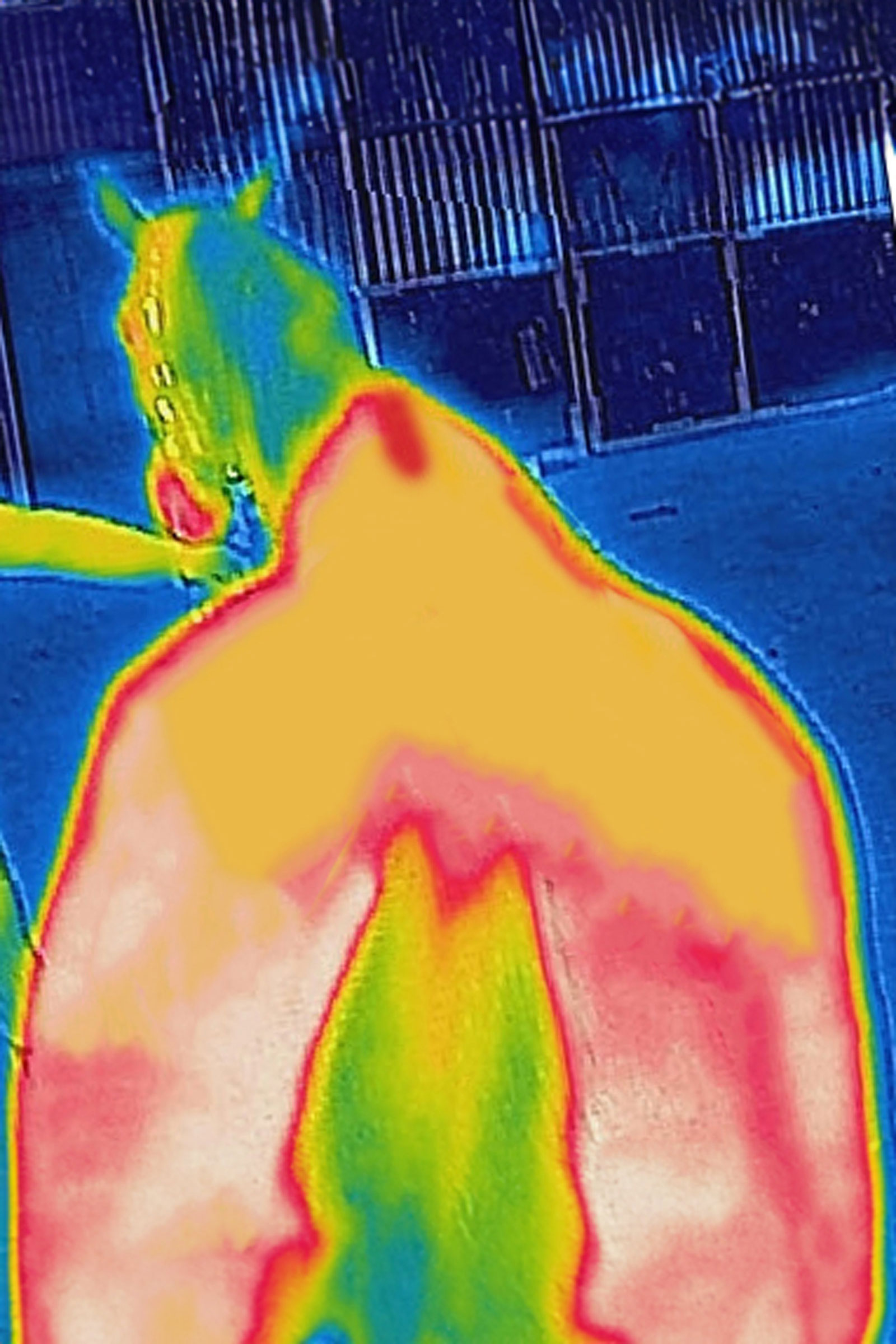 Bucas Therapy manta de exterior ligera, 50g