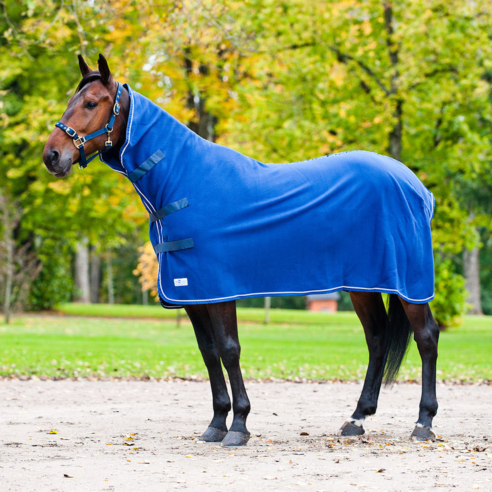 High Neck cooler rug II