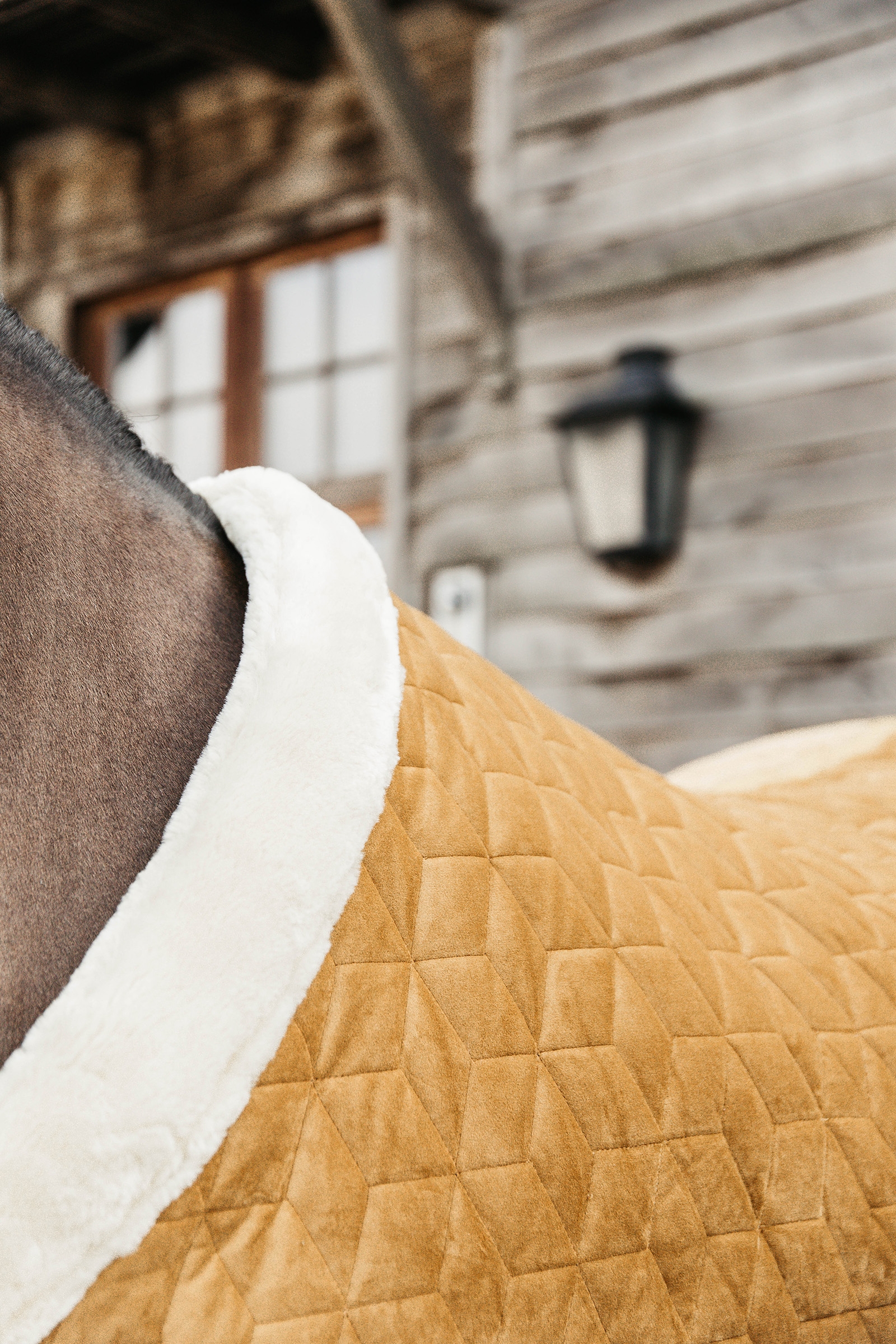 Manta de Concurso de Terciopelo para Poni Kentucky Horsewear, 160g