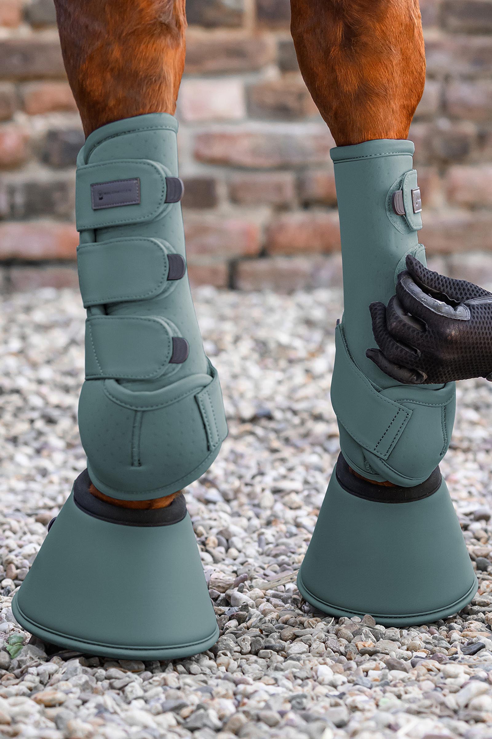 Waldhausen Performance campanas