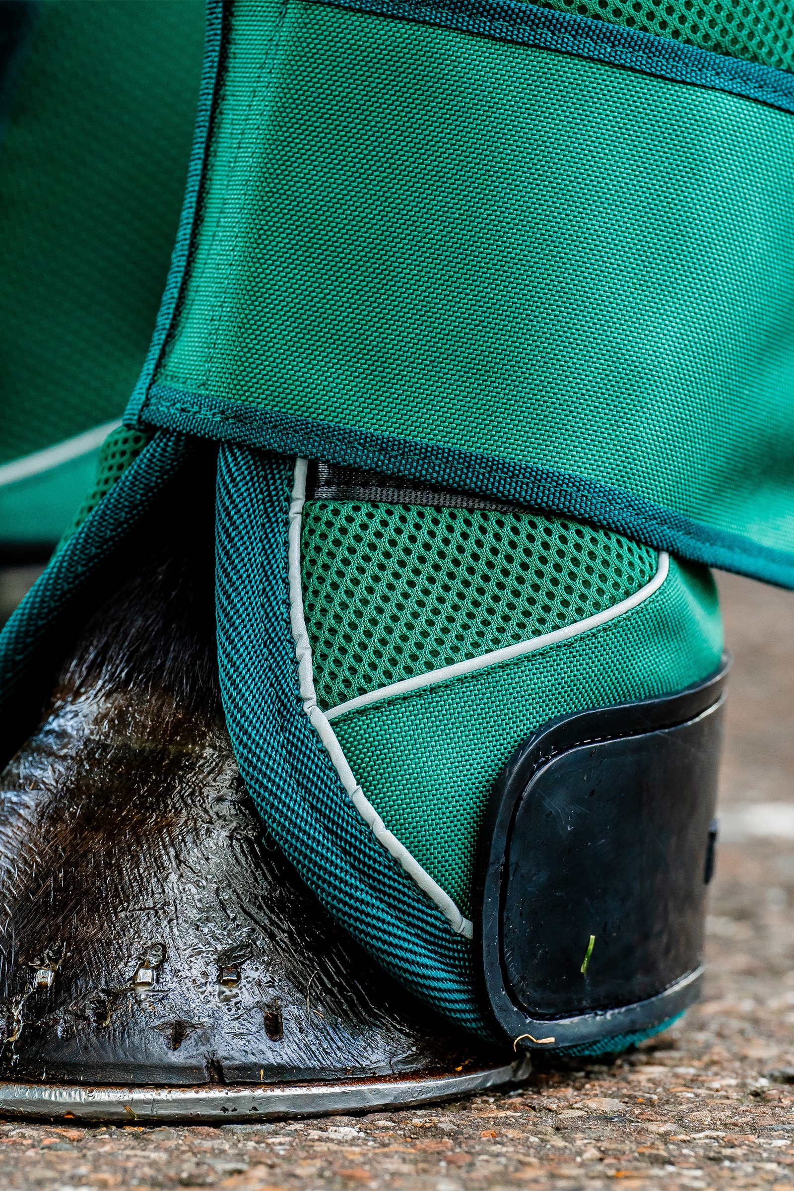 Horseware Signature Campanas de Transporte