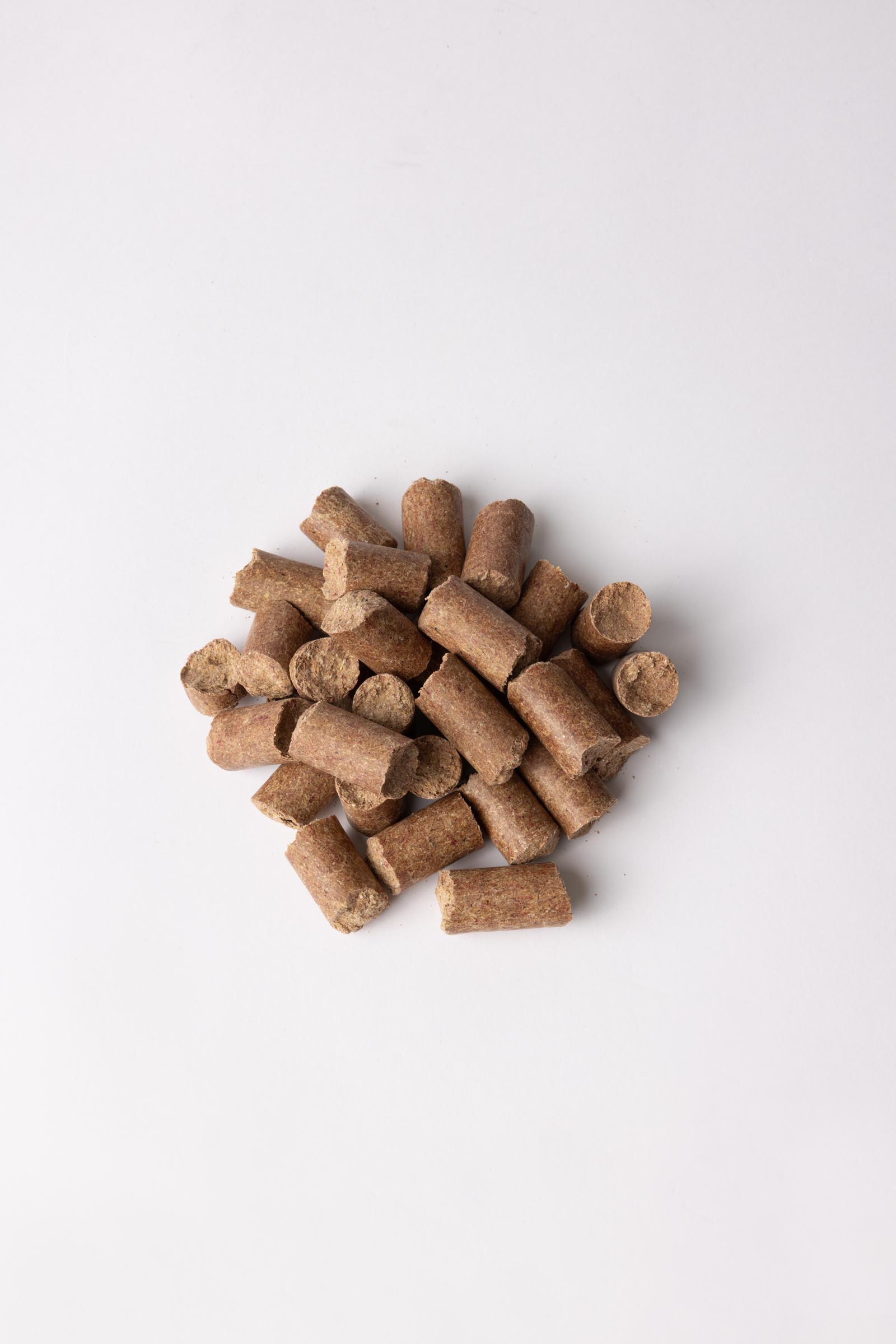 Horze Galletas Zanahoria, 3 kg