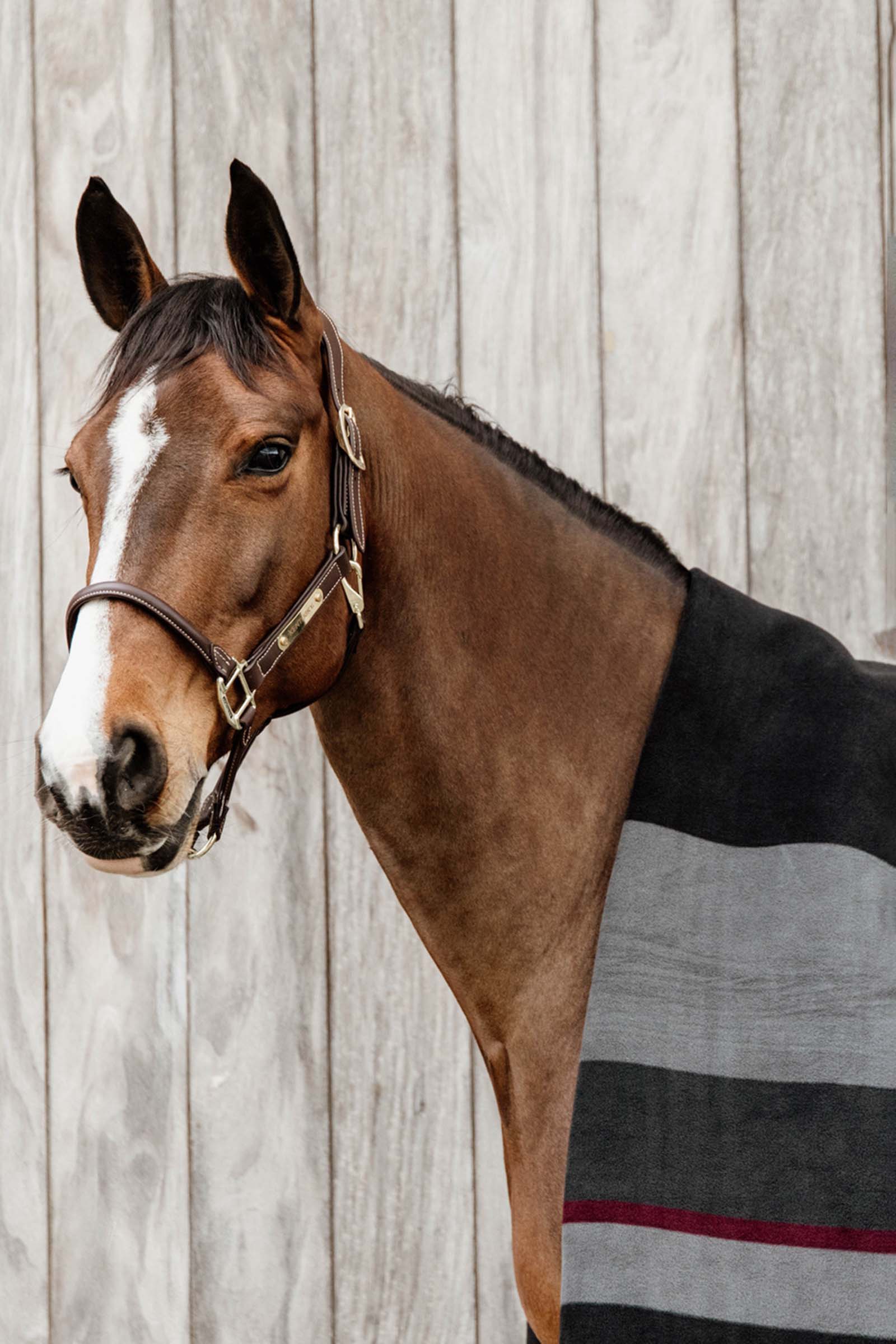 Manta Polar Pesada Kentucky Horsewear