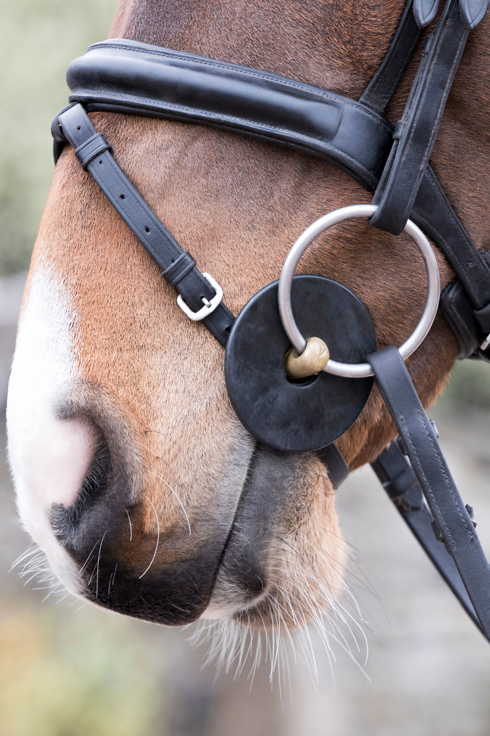 LeMieux anillas de bocado de silicona
