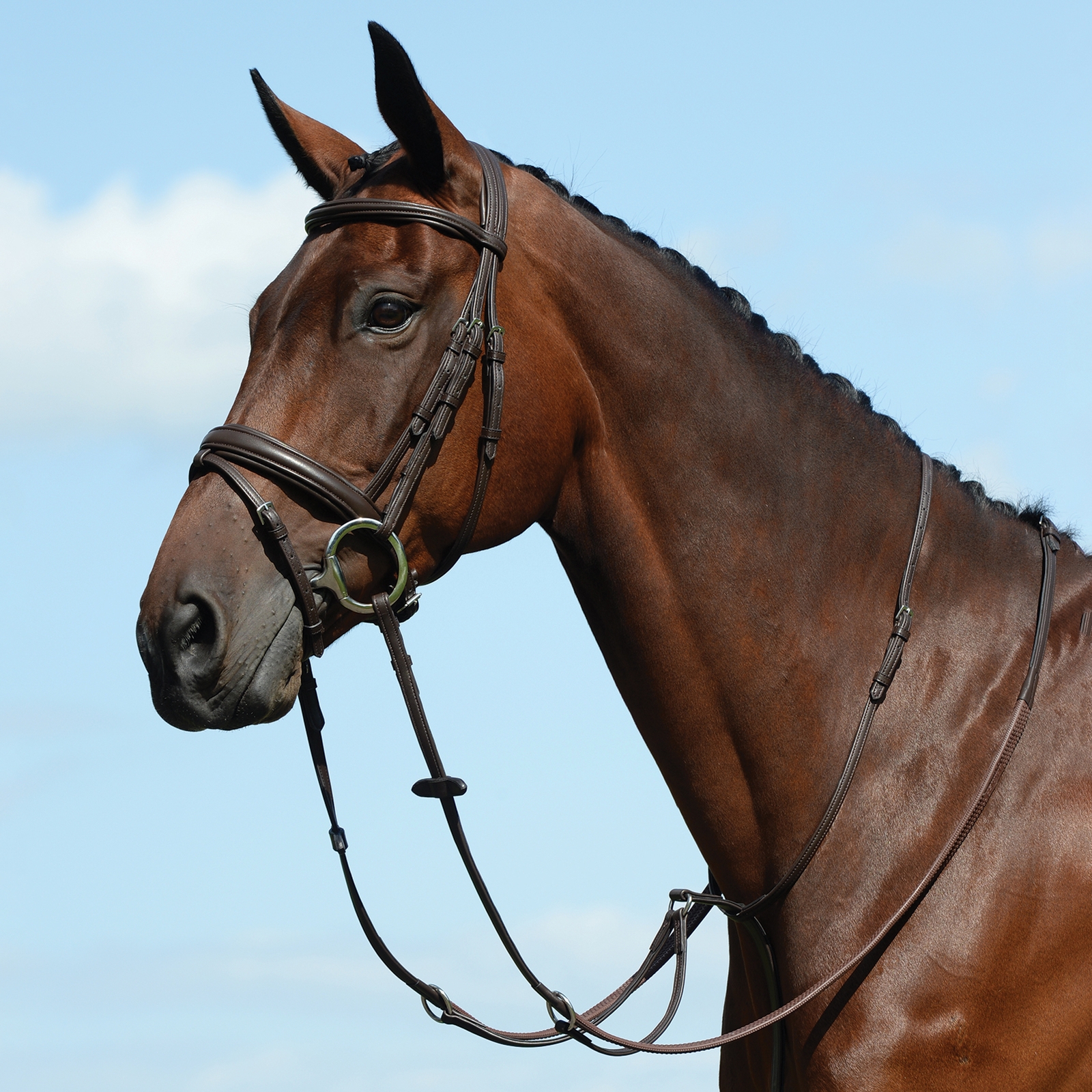 Brown Collegiate Syntovia+ Flat Flat Running Martingale