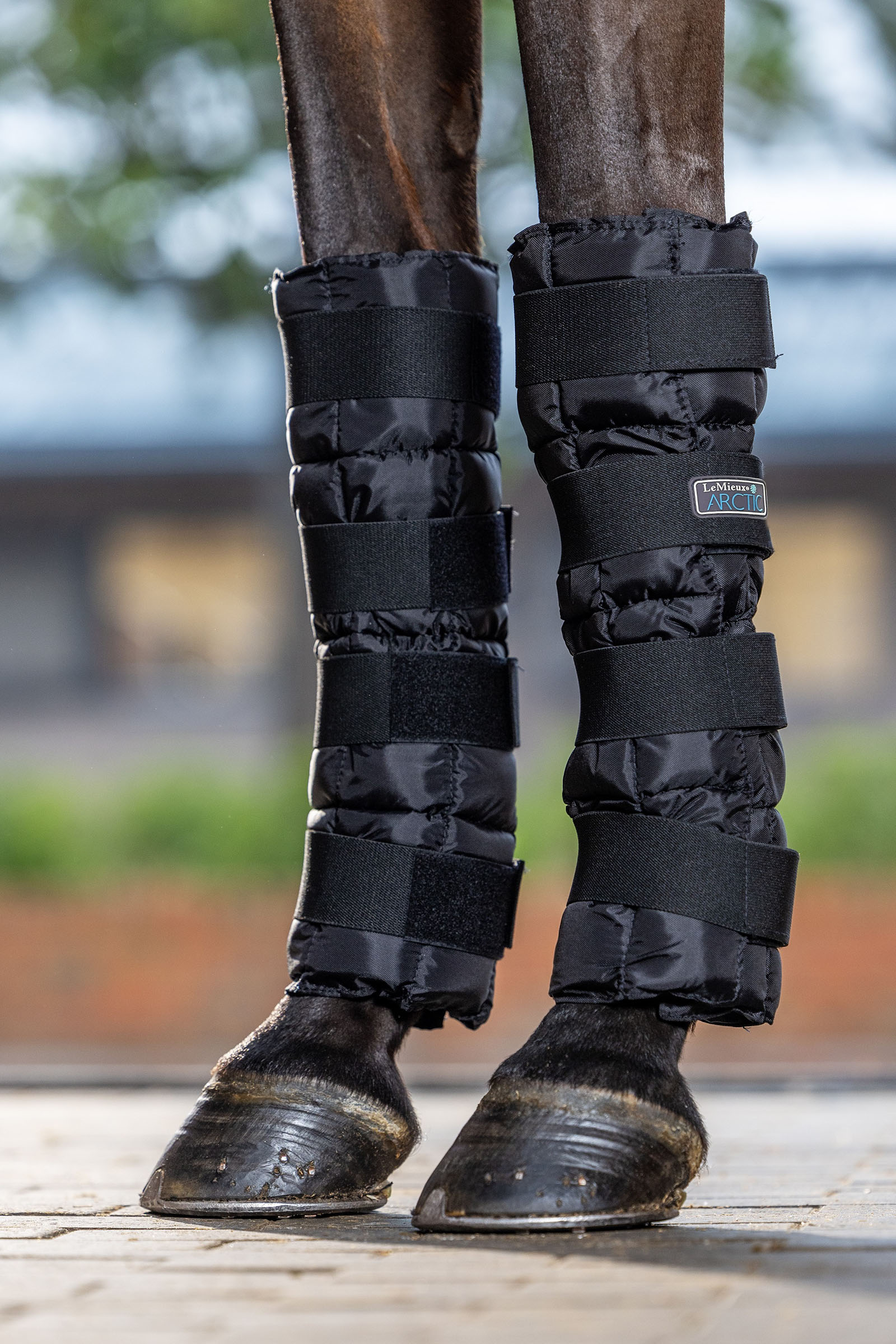 LeMieux Arctic Ice protectores refrigerantes (par)