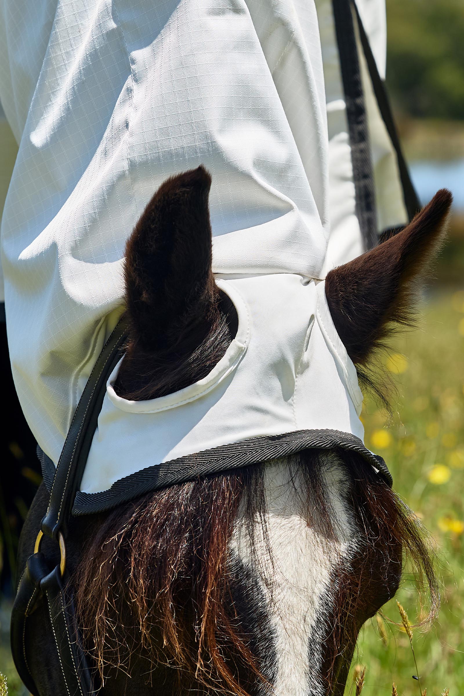 Weatherbeeta ComFiTec Sweet Itch Shield Manta antimoscas combo con cuello fijo, 0 g  