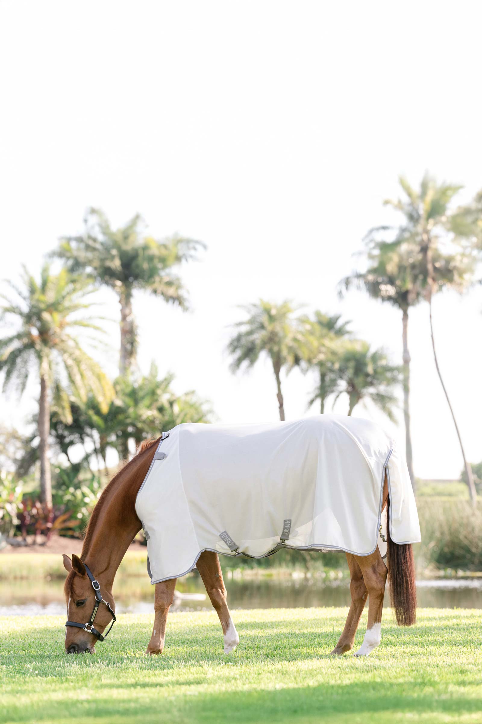 Horseware Amigo manta antimoscas con protecci&oacute;n UV