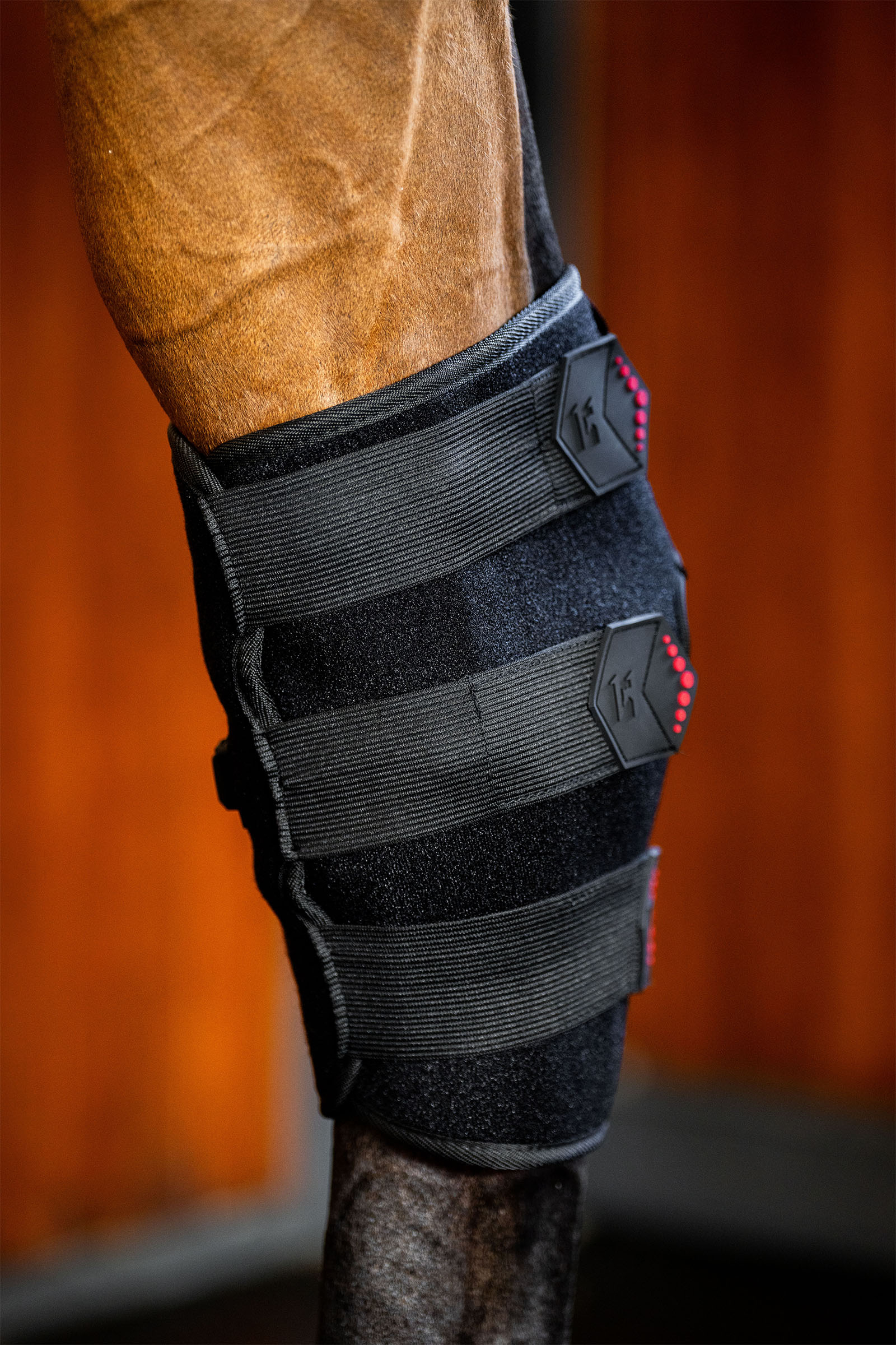 Horseware protector terapéutico LED de luz roja para corvejón (1 ud.)