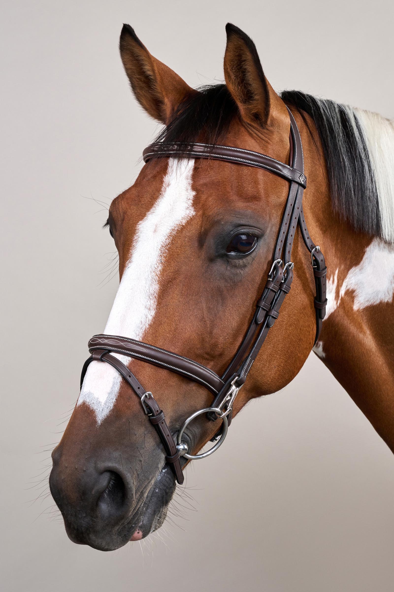 Dy'on Working cabezada con muserola combinada y mosquetones  