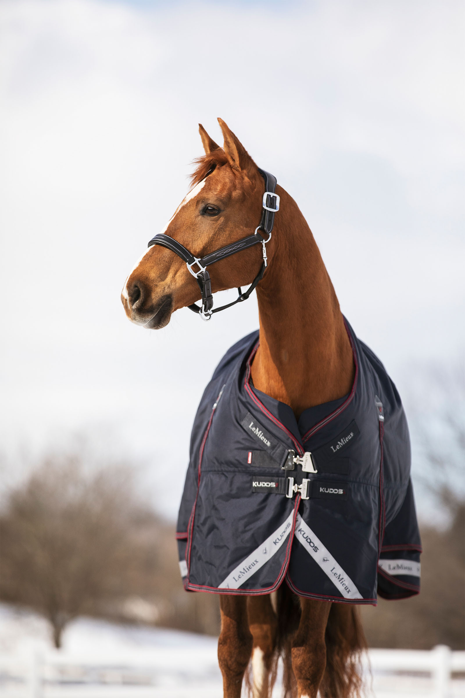 LeMieux Kudos manta de exterior 350g