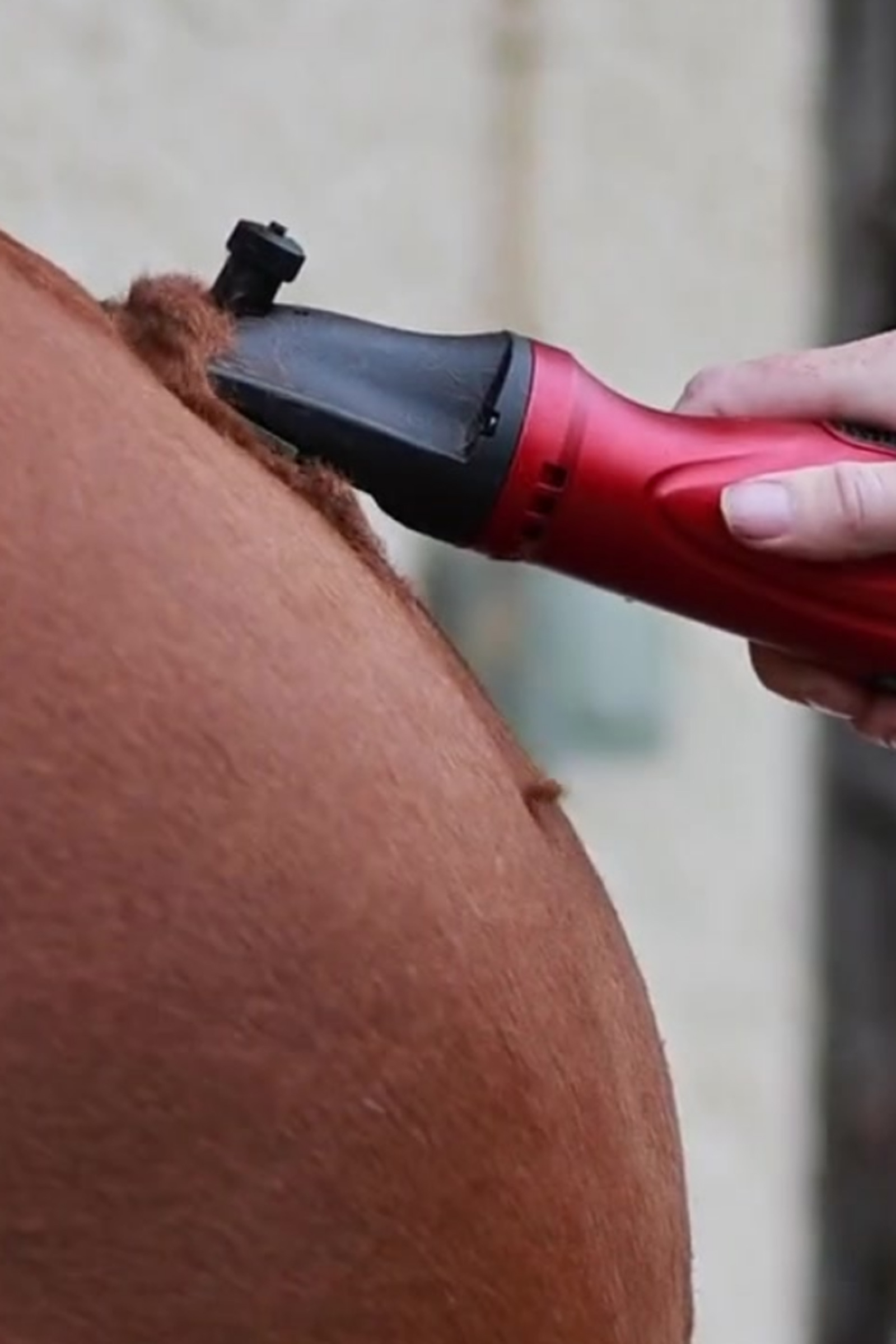 Liveryman Phoenix EU Clipper, 1.5 mm