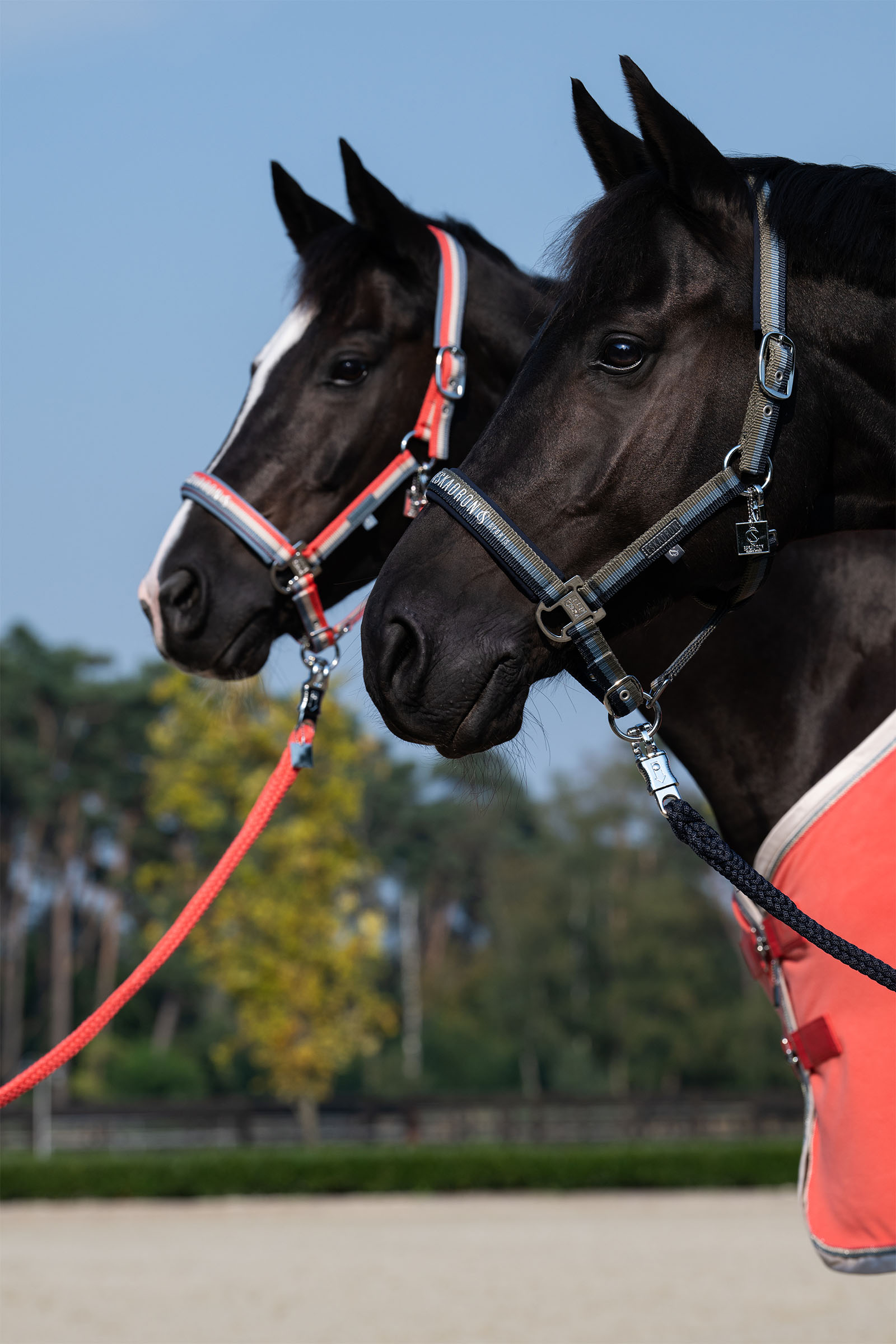 Eskadron Classic Sports SS25 Cabezada con doble hebilla