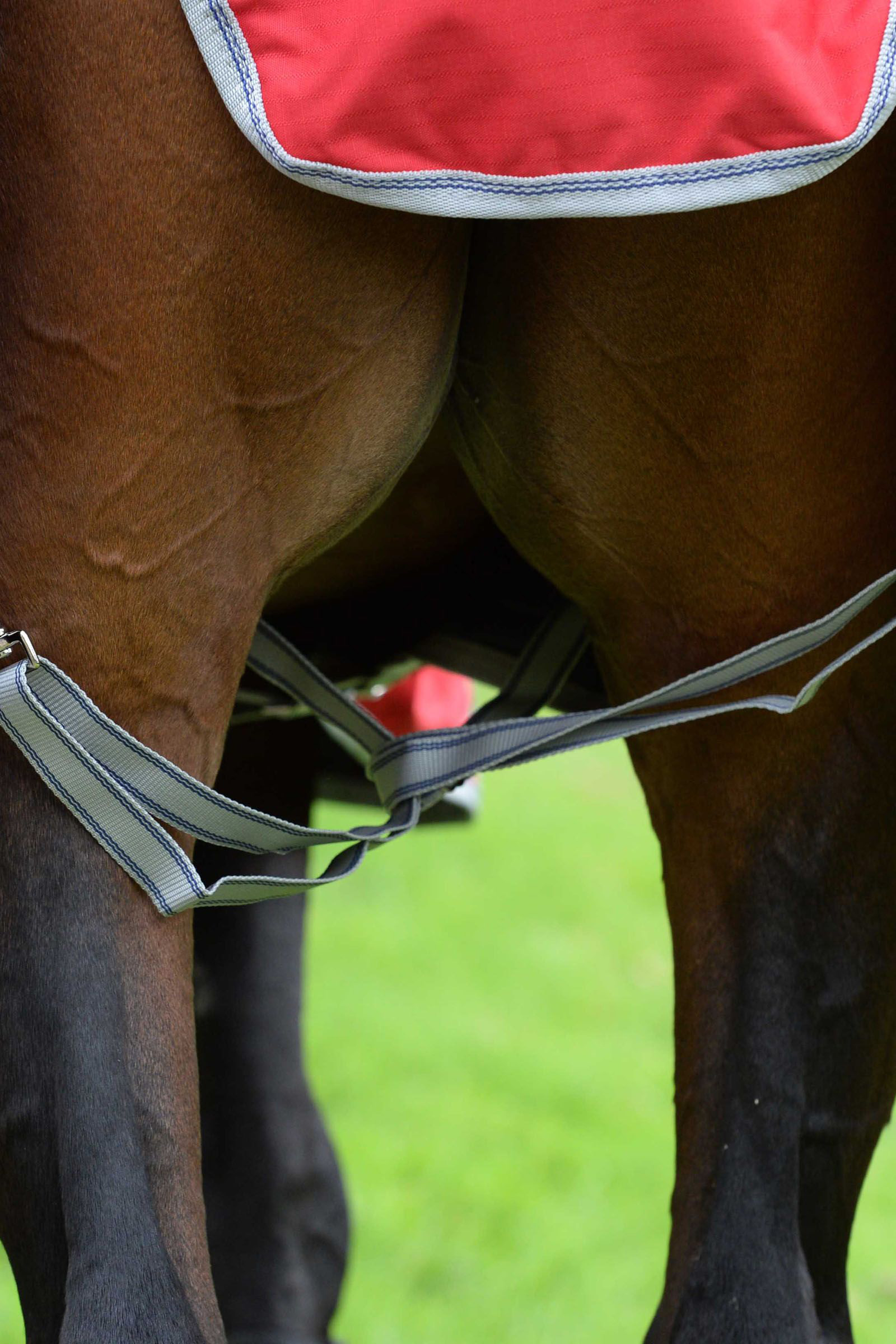 Weatherbeeta Comfitec Classic Mantas Caballo con cuello integrado, 50g