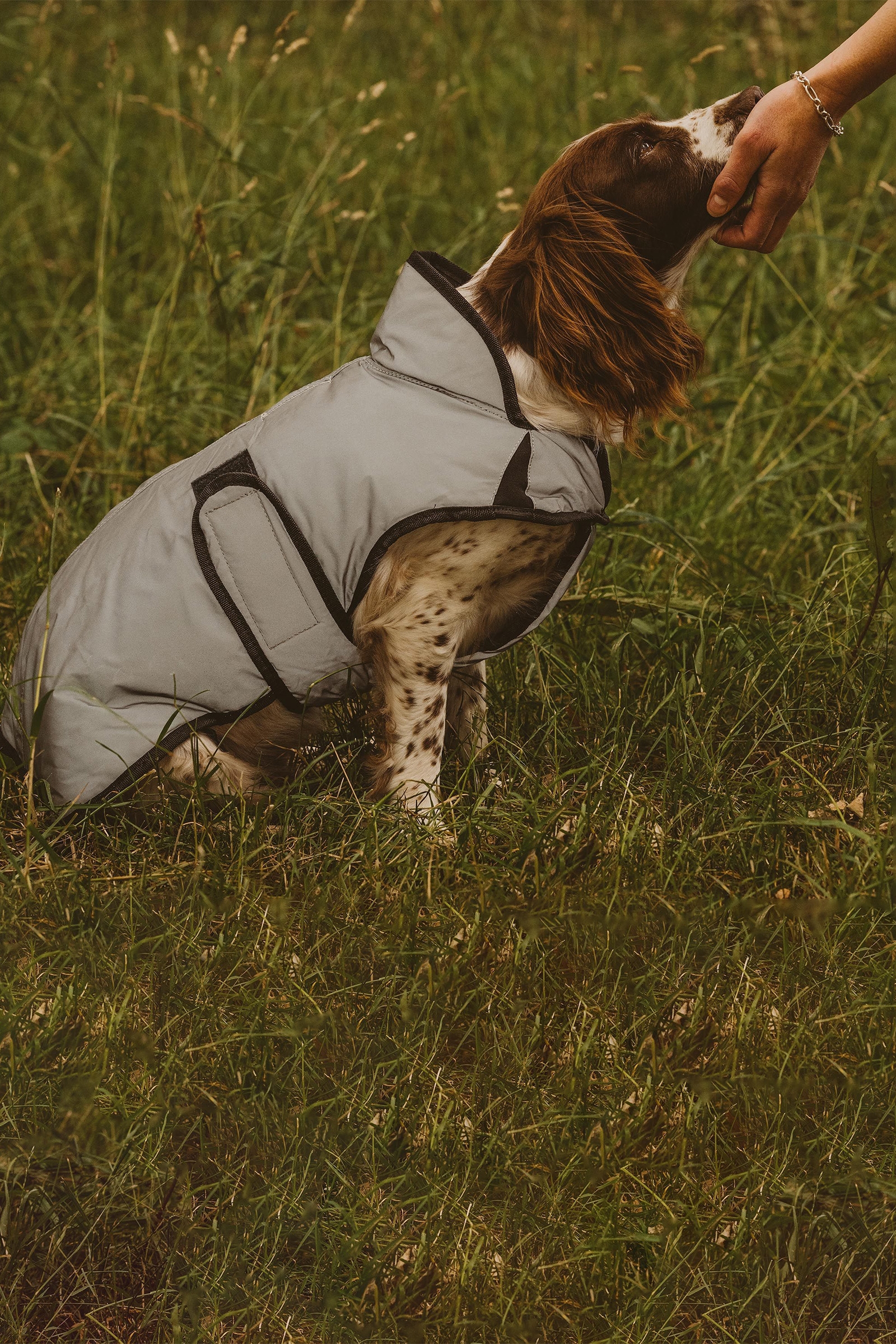 Abrigo para Perro Estampado Reflectante Activo Weatherbeeta Comfitec
