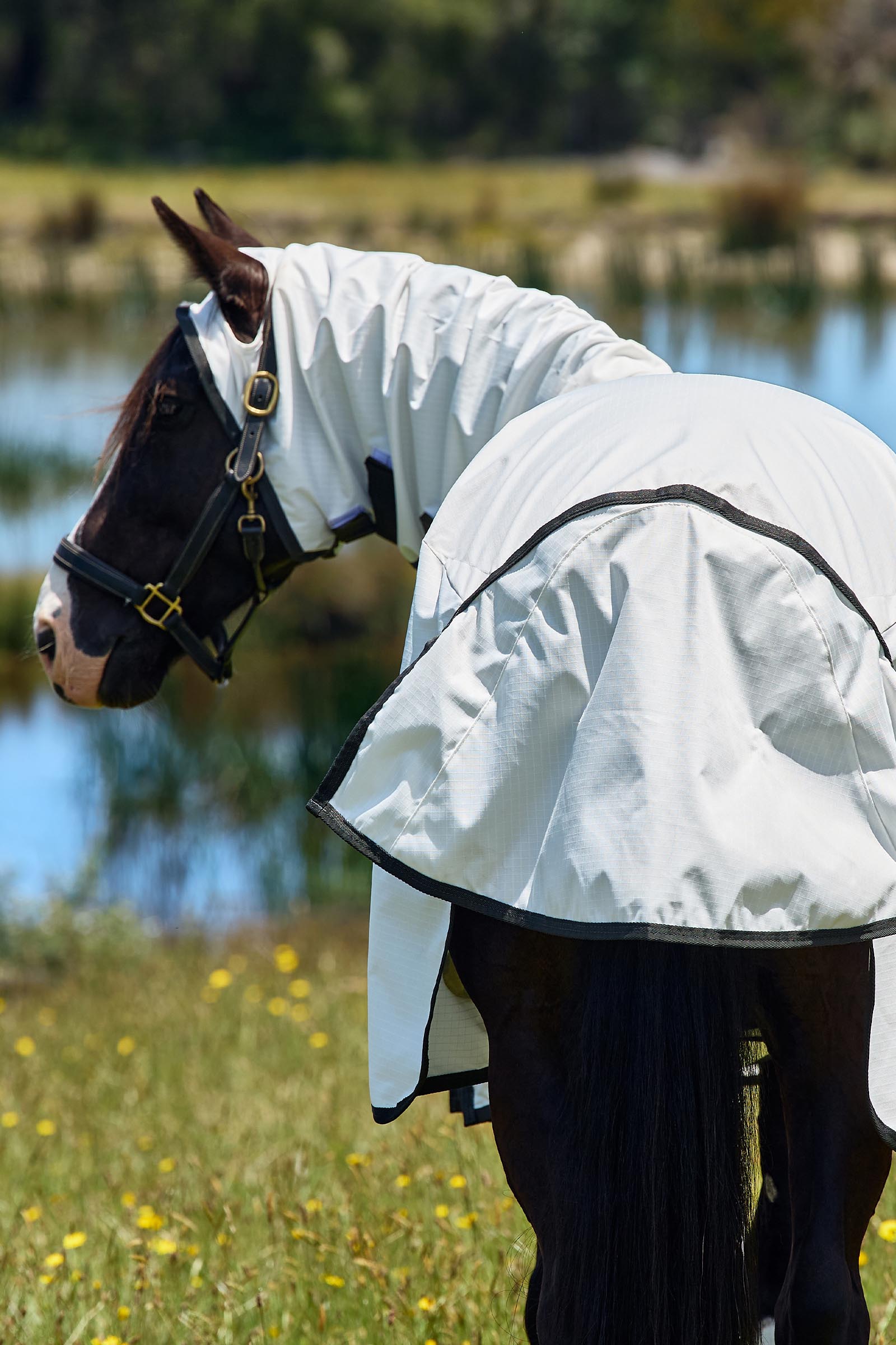 Weatherbeeta ComFiTec Sweet Itch Shield Manta antimoscas combo con cuello fijo, 0 g  