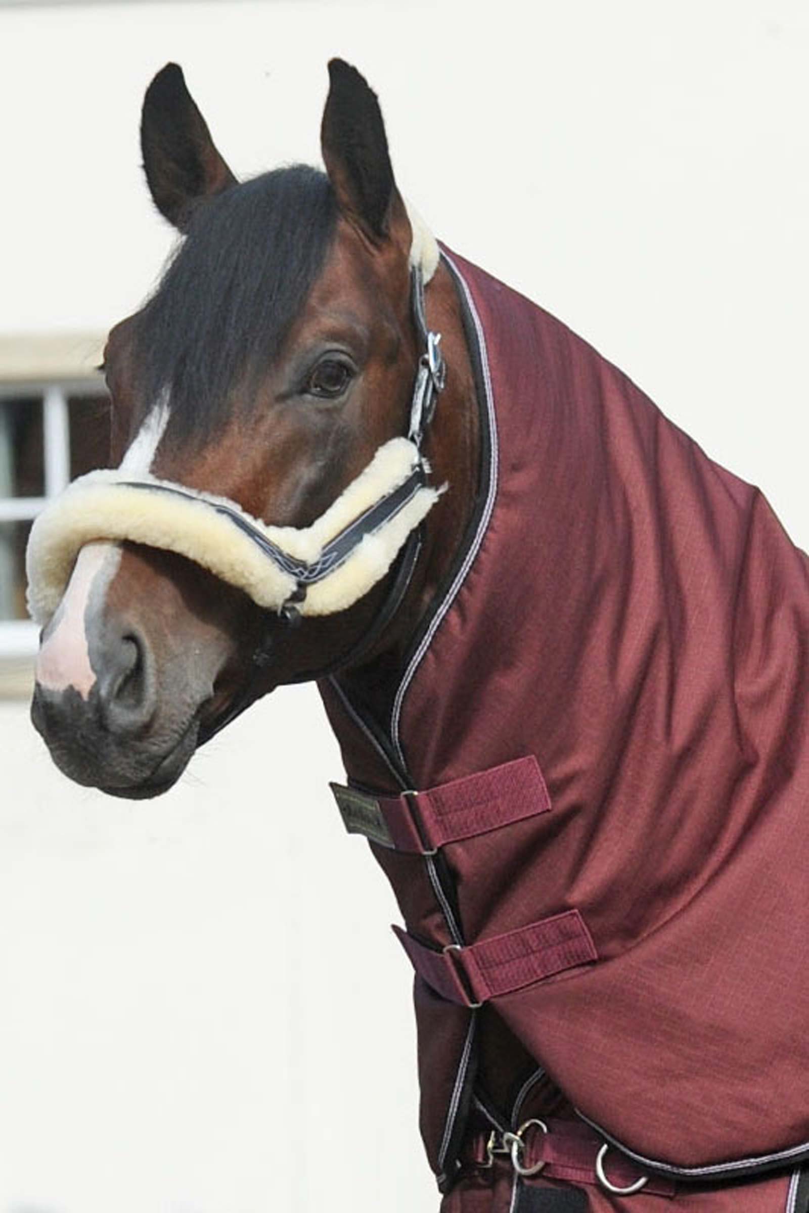 Cuello Kavalkade para Alaska IV, 100 g