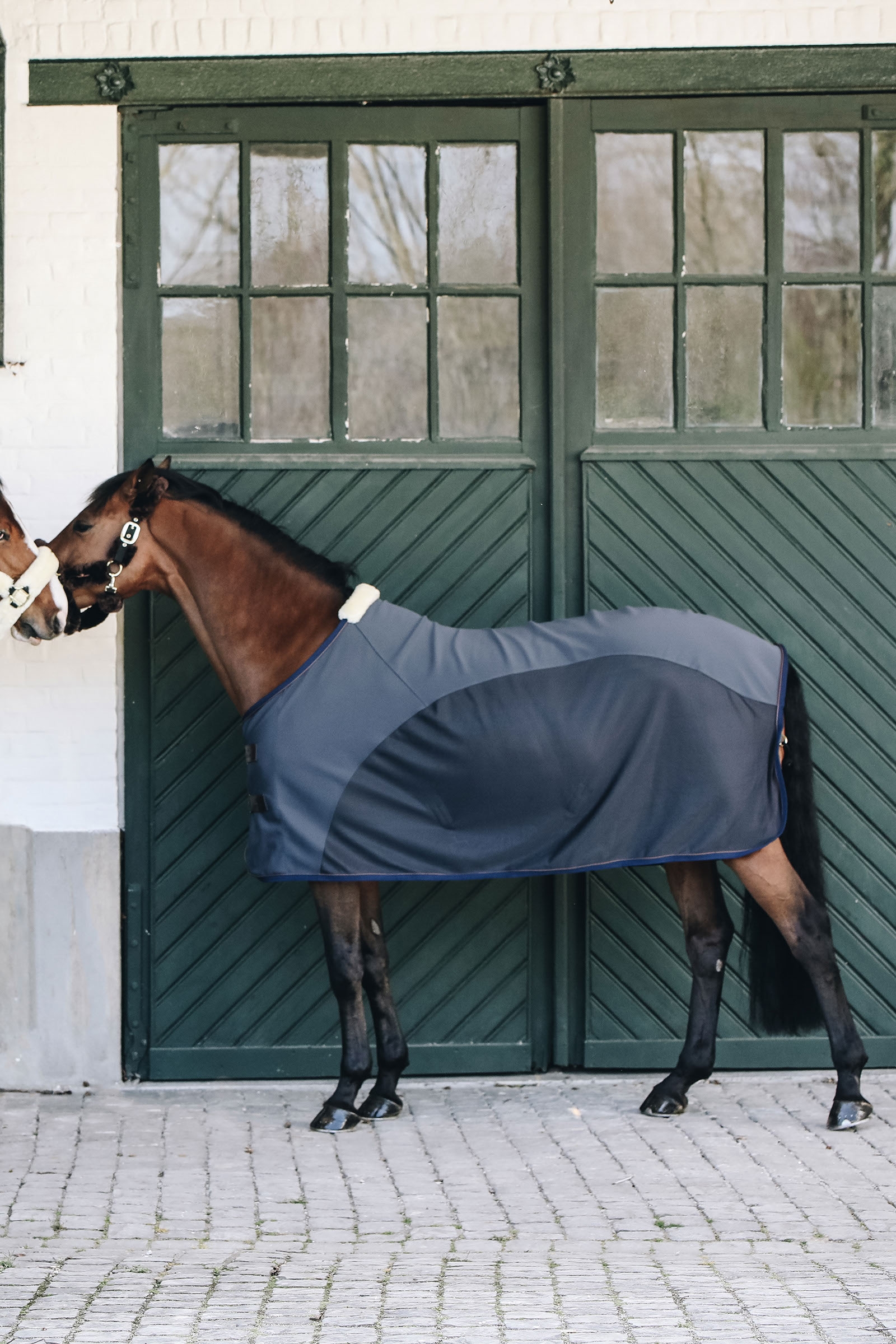 Refrigerador Softshell de Kentucky Horsewear