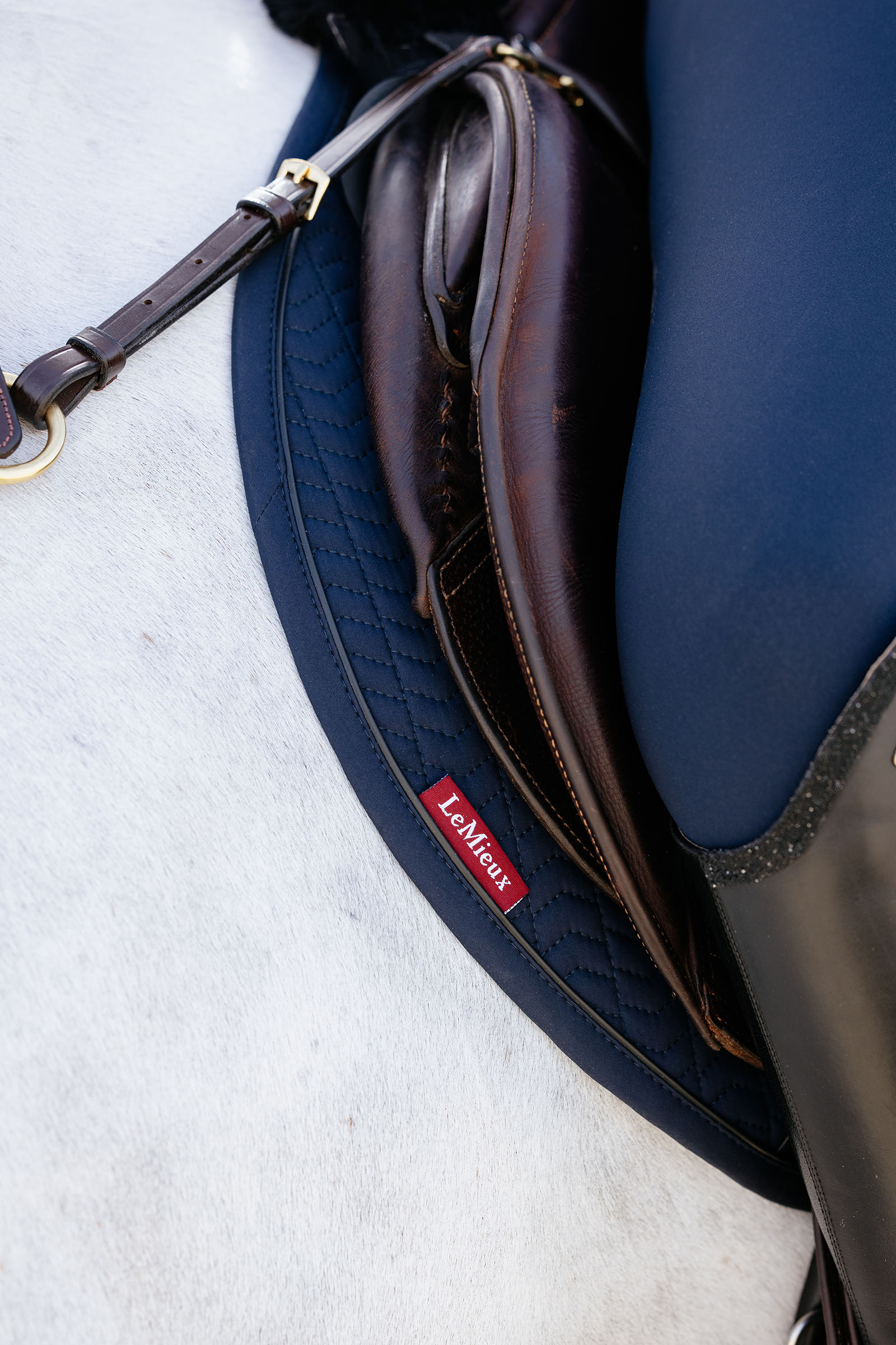 LeMieux Essence sudadero de salto Eurojump