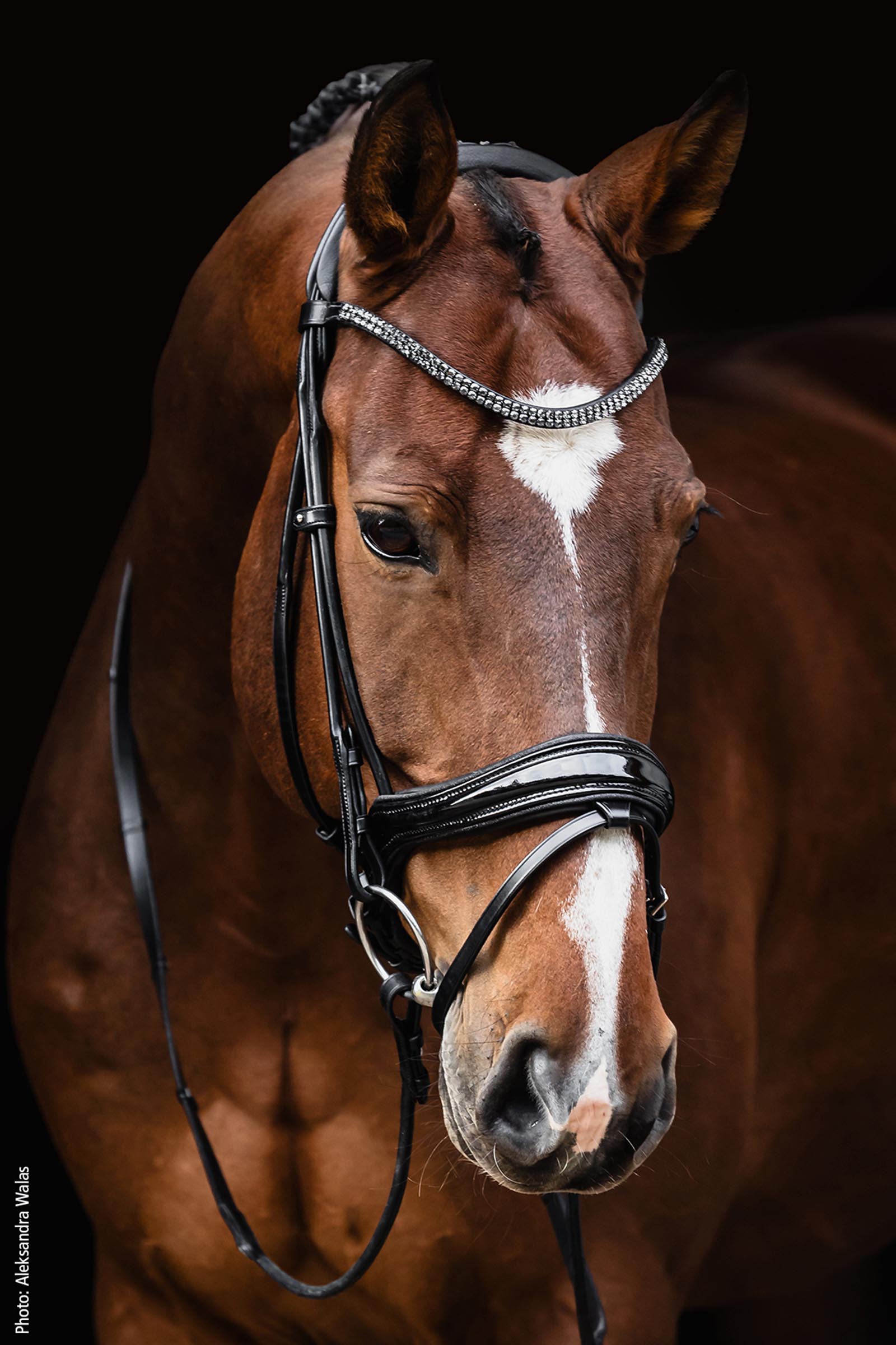 Schockem&ouml;hle Sports Satchmo Bridle - Isabell Werth Collection