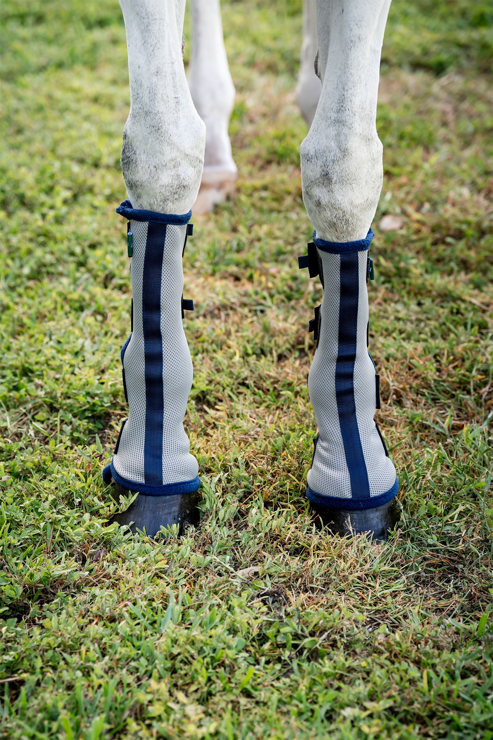 Horseware Fly Boots - juego de 2