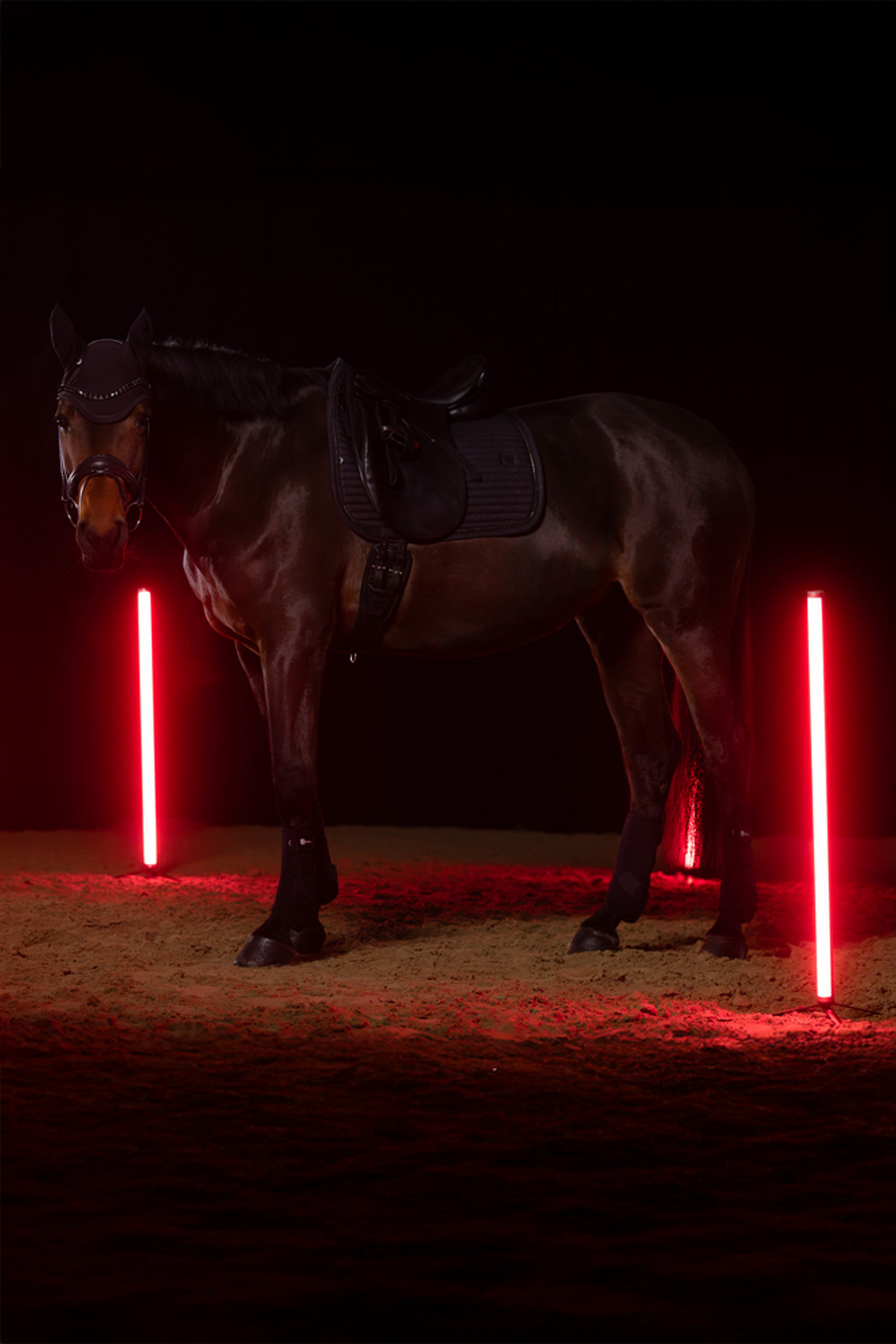 Eskadron Dynamics AW25 mantilla de doma Sparkle Crystal