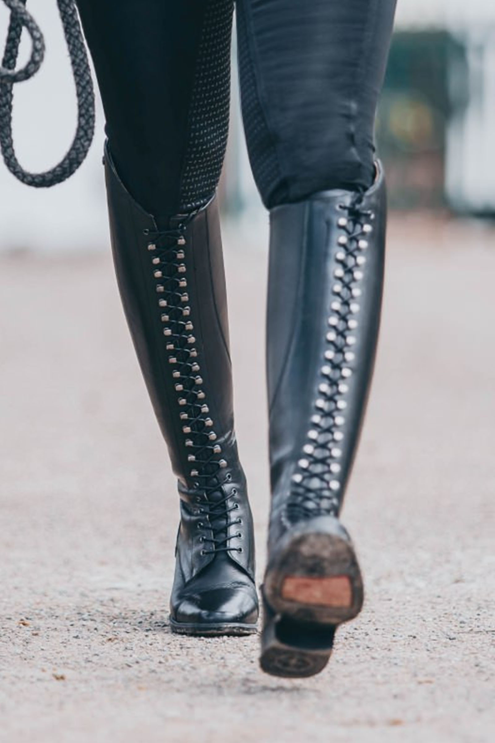 Suedwind Footwear Legacy Venado Botas Altas De Montar Con Cordones